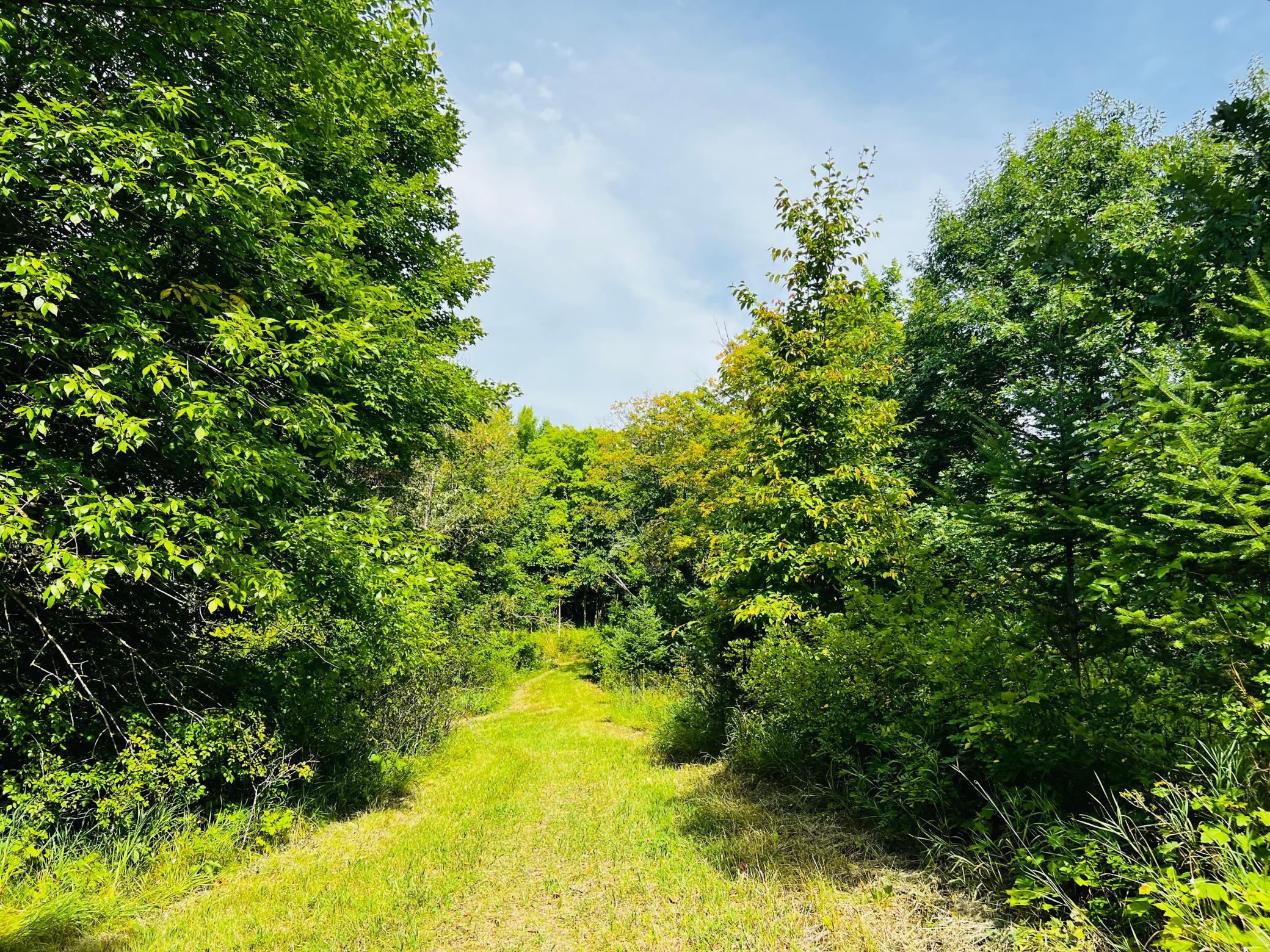 land for sale at TBD CO HWY 27 in Rochert, MN (photo 24 of 34)