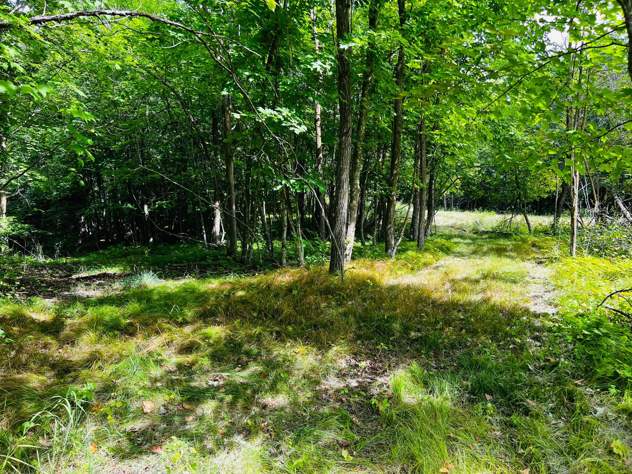 land for sale at TBD CO HWY 27 in Rochert, MN (photo 25 of 34)