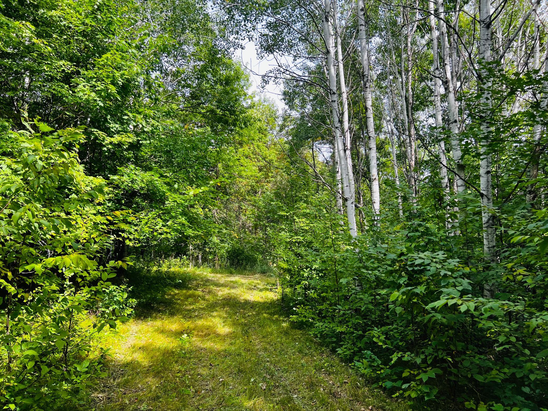 land for sale at TBD CO HWY 27 in Rochert, MN (photo 27 of 34)