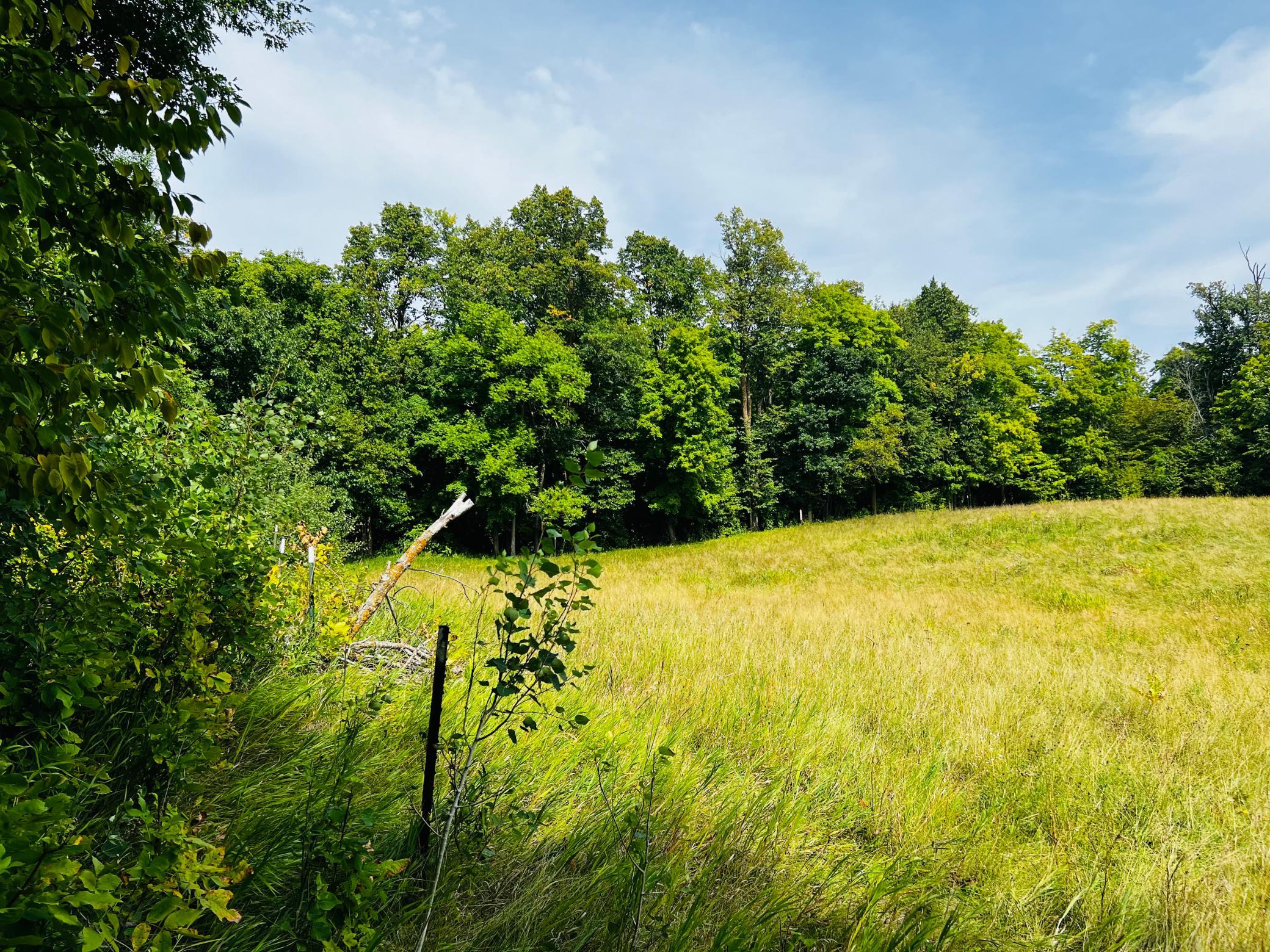 land for sale at TBD CO HWY 27 in Rochert, MN (photo 28 of 34)