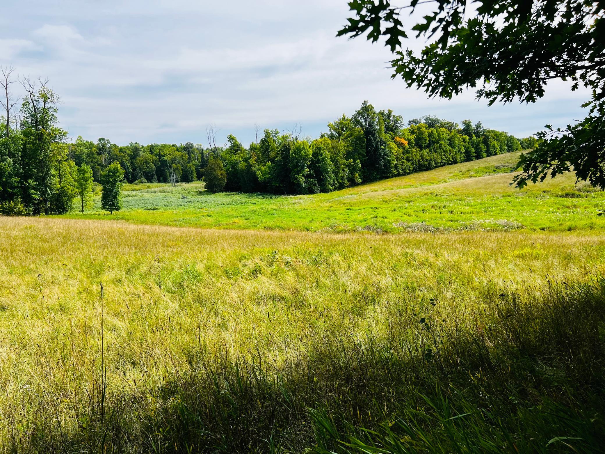 land for sale at TBD CO HWY 27 in Rochert, MN (photo 29 of 34)