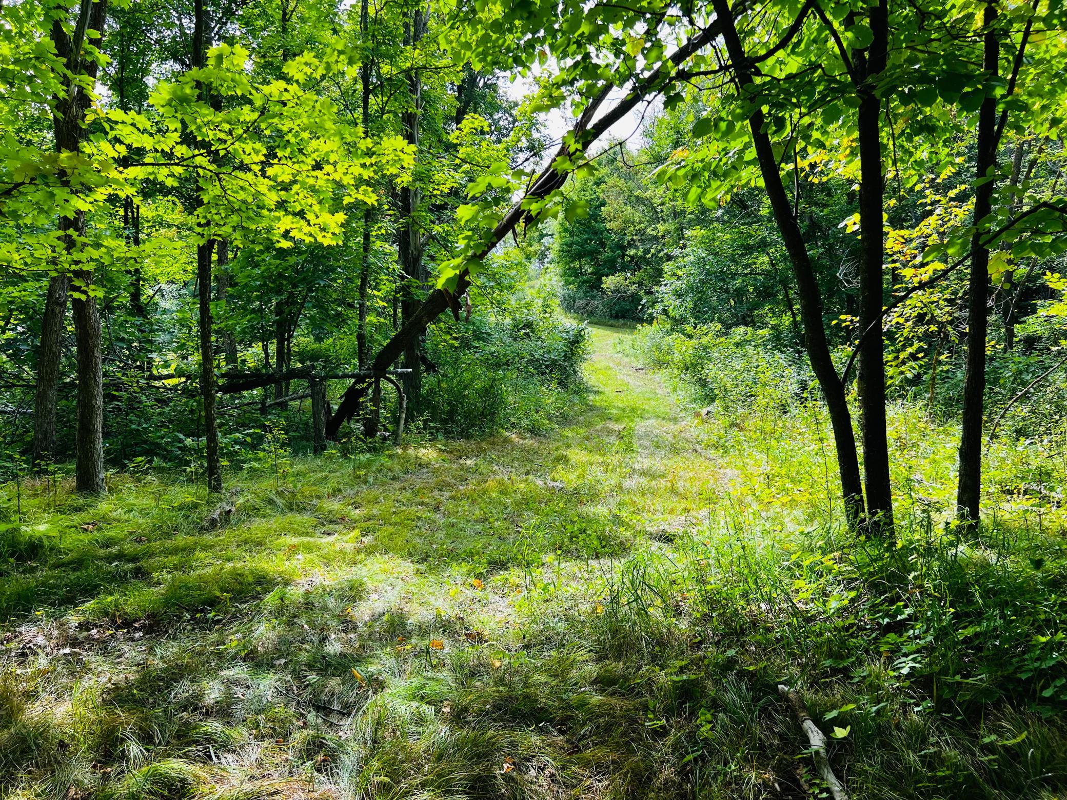 land for sale at TBD CO HWY 27 in Rochert, MN (photo 30 of 34)
