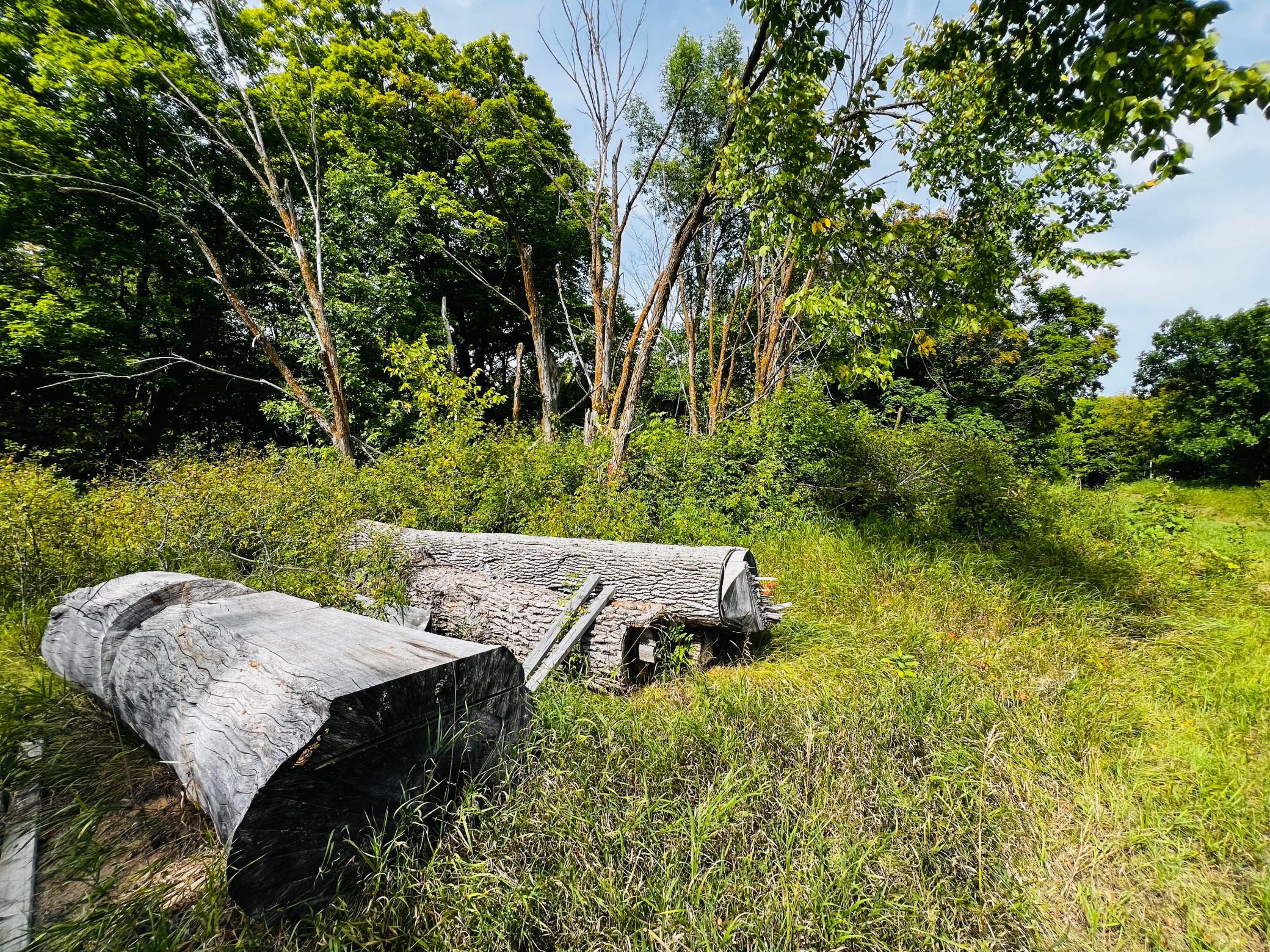 land for sale at TBD CO HWY 27 in Rochert, MN (photo 31 of 34)