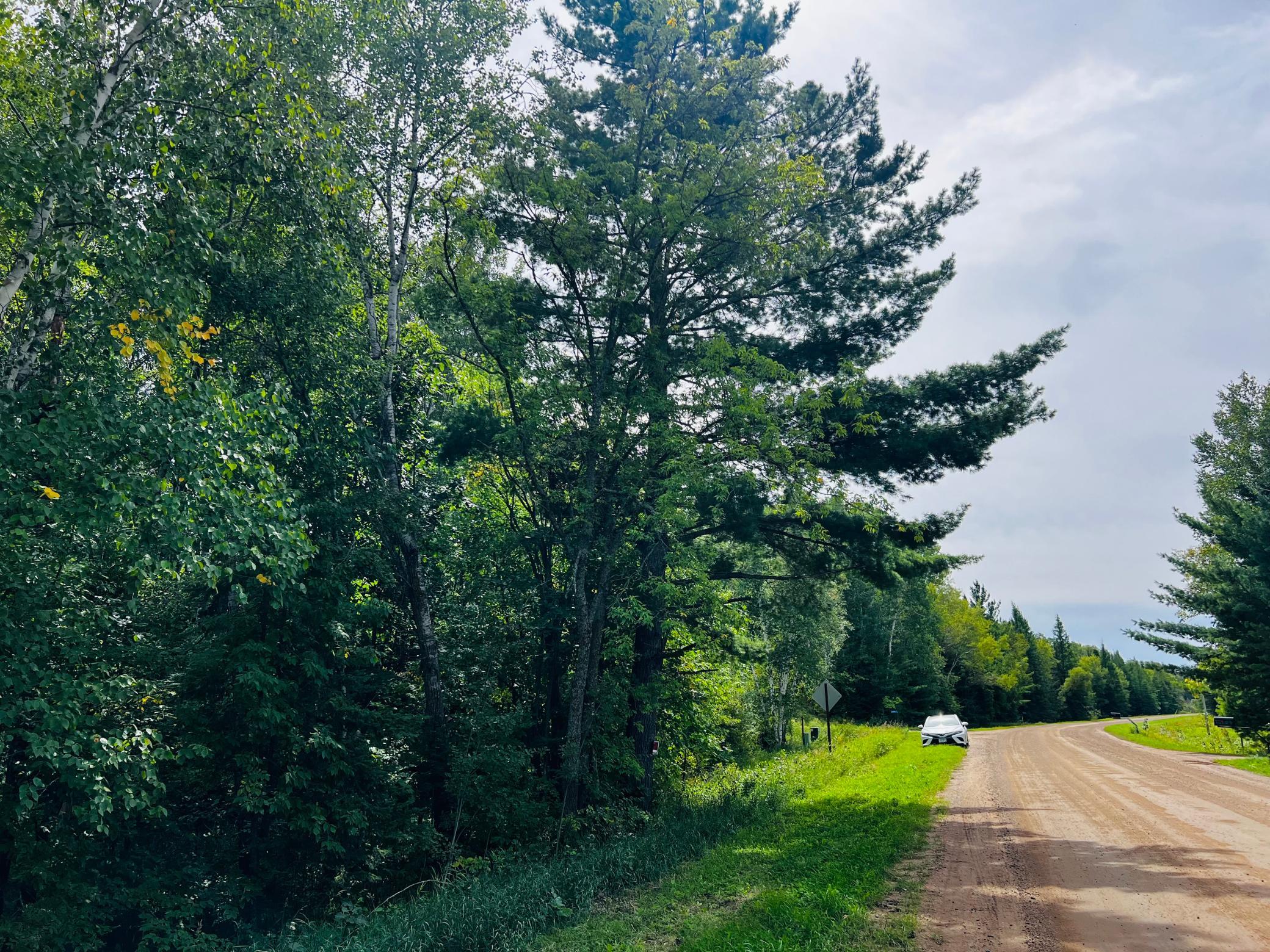land for sale at TBD CO HWY 27 in Rochert, MN (photo 10 of 34)
