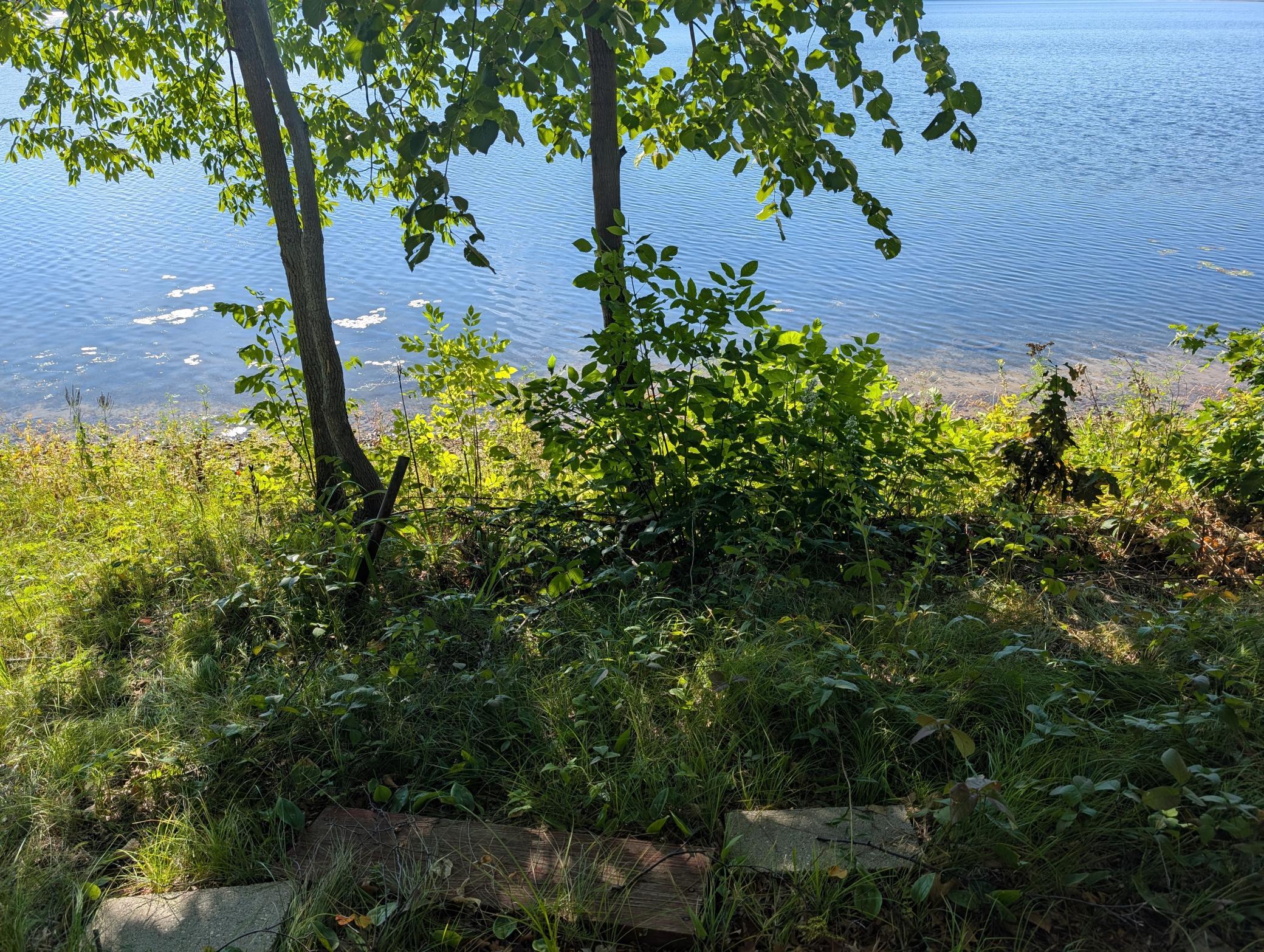 land for sale at 18347 W Adney Lane in Crosby, MN (photo 8 of 9)