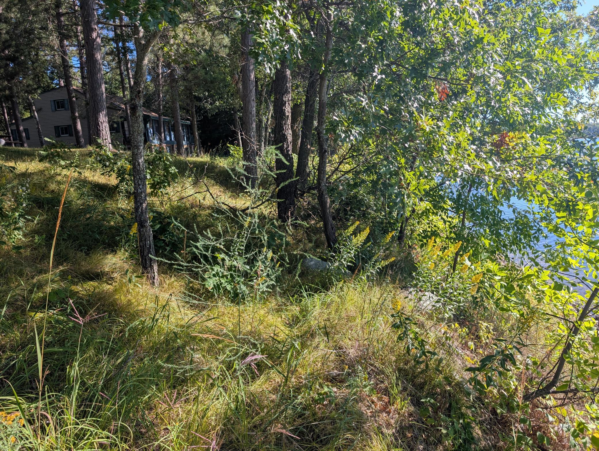 land for sale at 18347 W Adney Lane in Crosby, MN (photo 9 of 9)