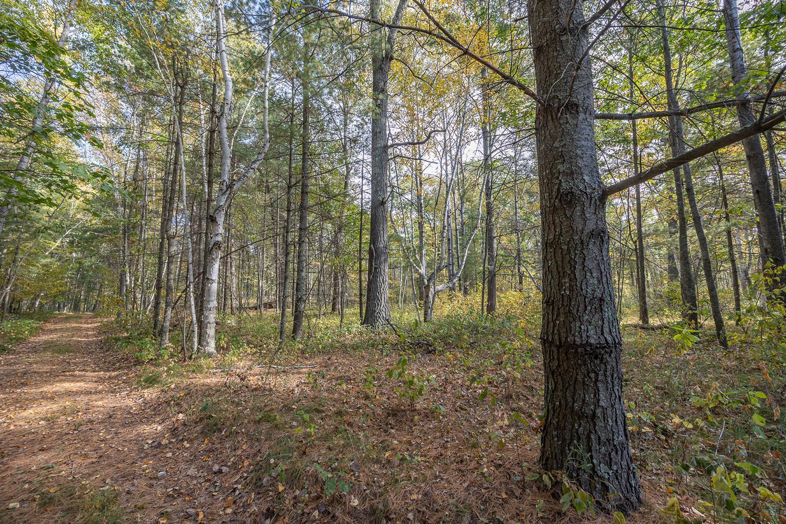 1991 single family home for sale at 1116 Sand Lake Drive NW in Backus, MN — 4 bed, 6 bath (photo 90 of 92)