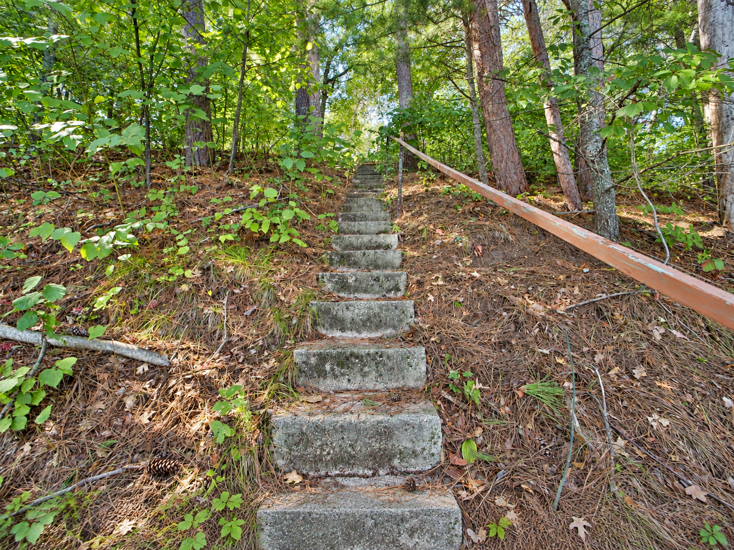 1972 single family home for sale at 5528 Sibley Lake Road in Pequot Lakes, MN — 2 bed, 1 bath (photo 35 of 38)