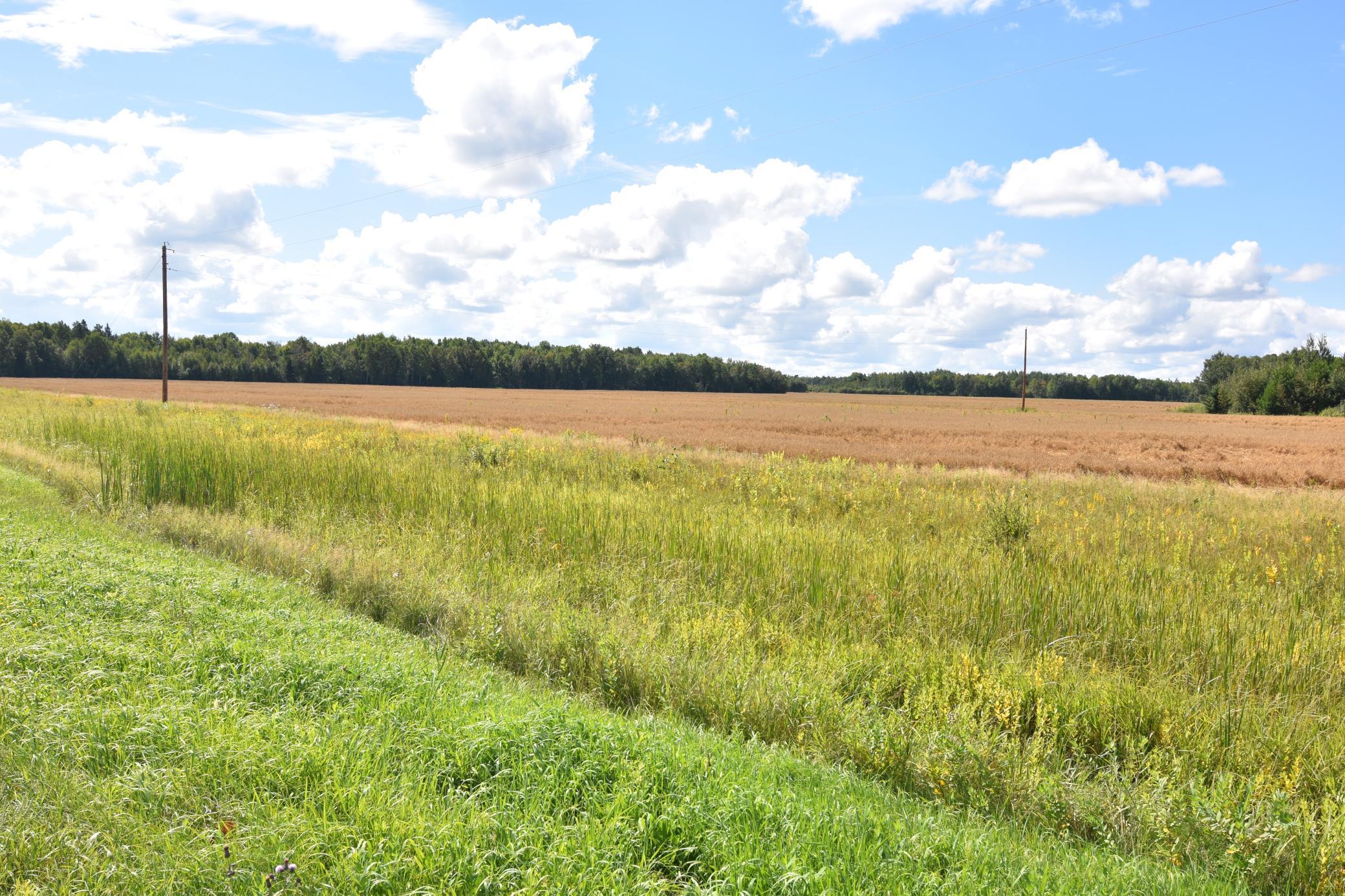 1975 single family home for sale at 1297 County Road 2 NW in Williams, MN — 2 bed, 2 bath (photo 11 of 48)