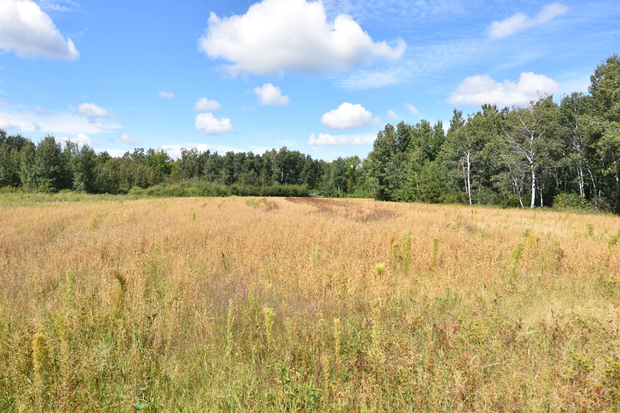 1975 single family home for sale at 1297 County Road 2 NW in Williams, MN — 2 bed, 2 bath (photo 19 of 48)