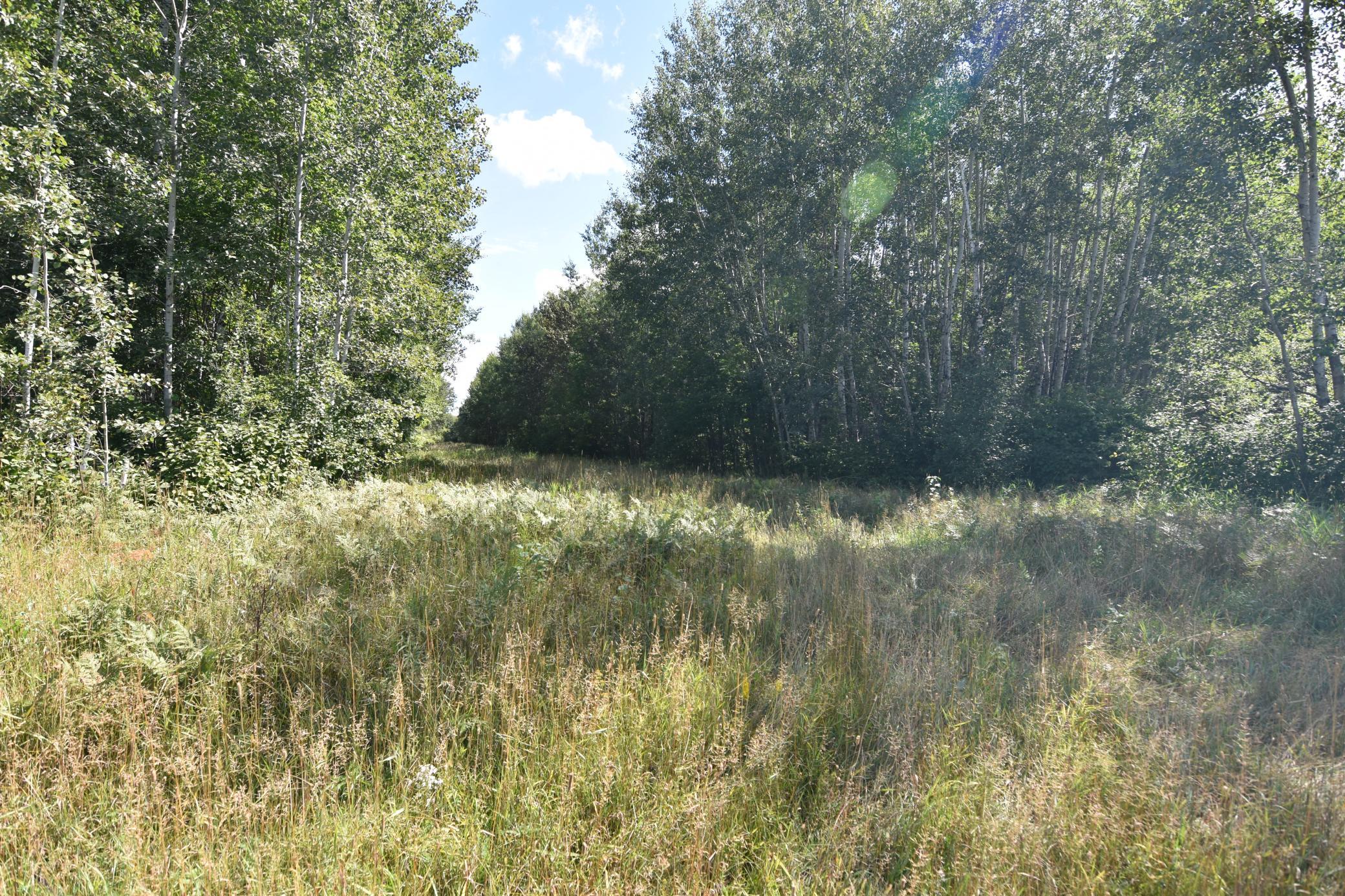 1975 single family home for sale at 1297 County Road 2 NW in Williams, MN — 2 bed, 2 bath (photo 21 of 48)