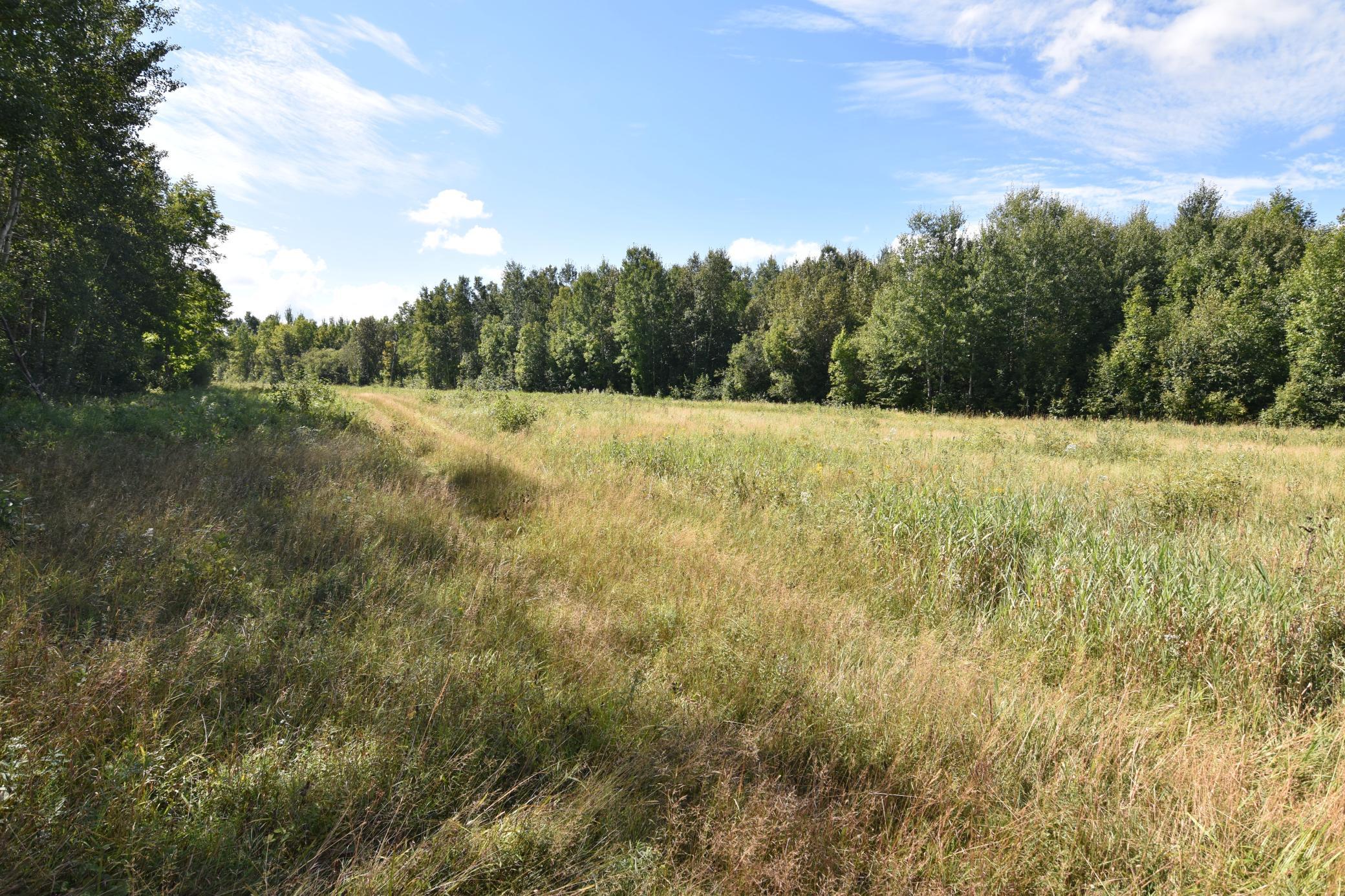 1975 single family home for sale at 1297 County Road 2 NW in Williams, MN — 2 bed, 2 bath (photo 22 of 48)