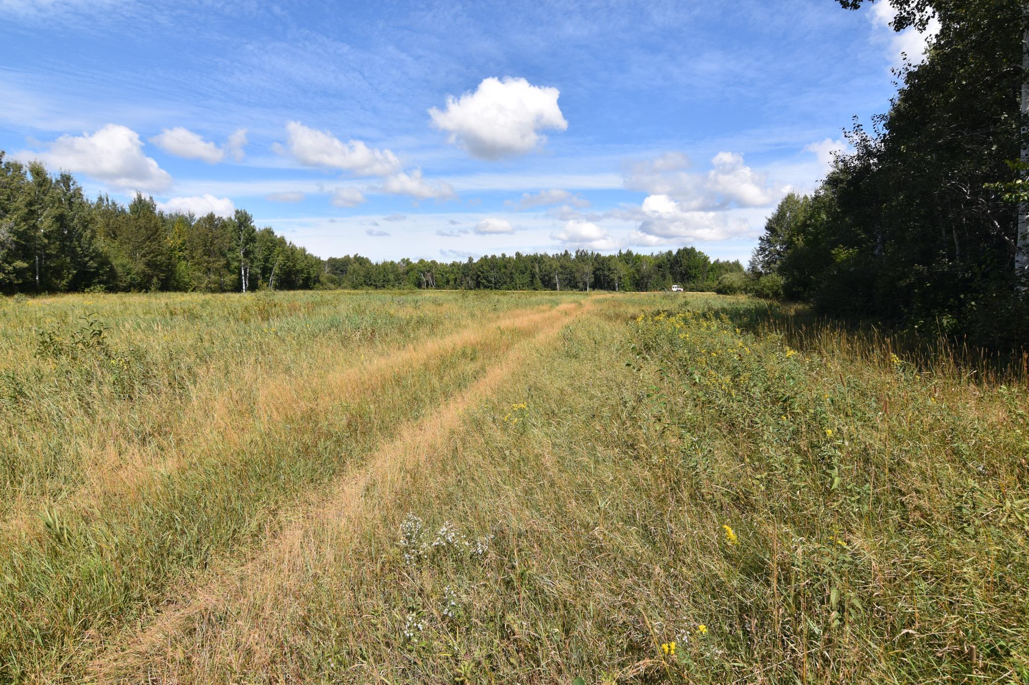 1975 single family home for sale at 1297 County Road 2 NW in Williams, MN — 2 bed, 2 bath (photo 23 of 48)