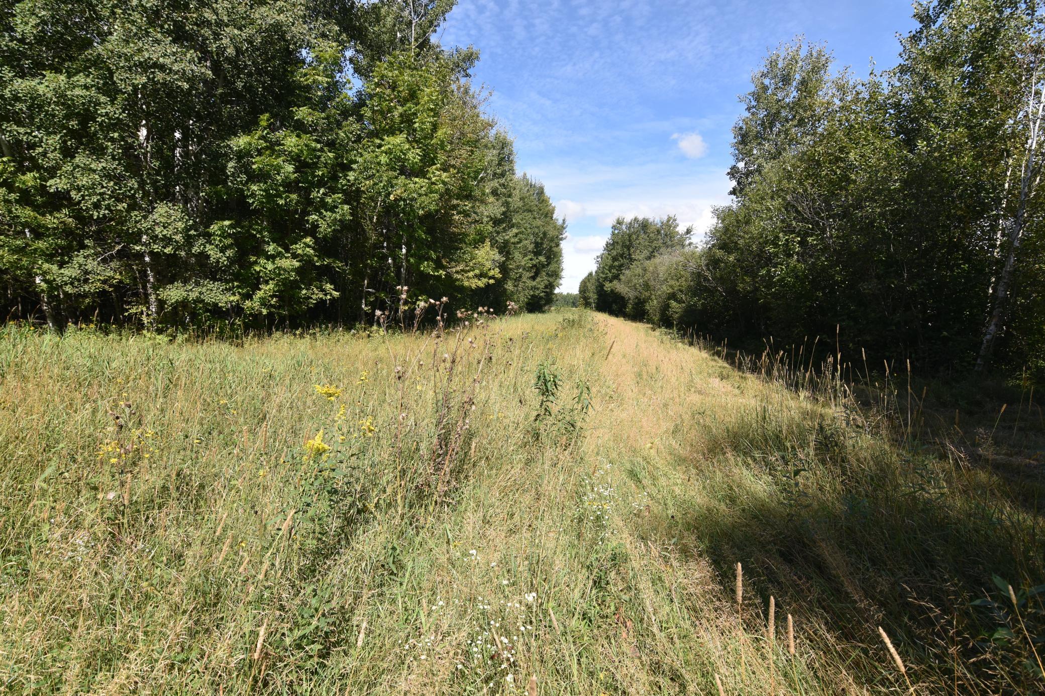 1975 single family home for sale at 1297 County Road 2 NW in Williams, MN — 2 bed, 2 bath (photo 24 of 48)