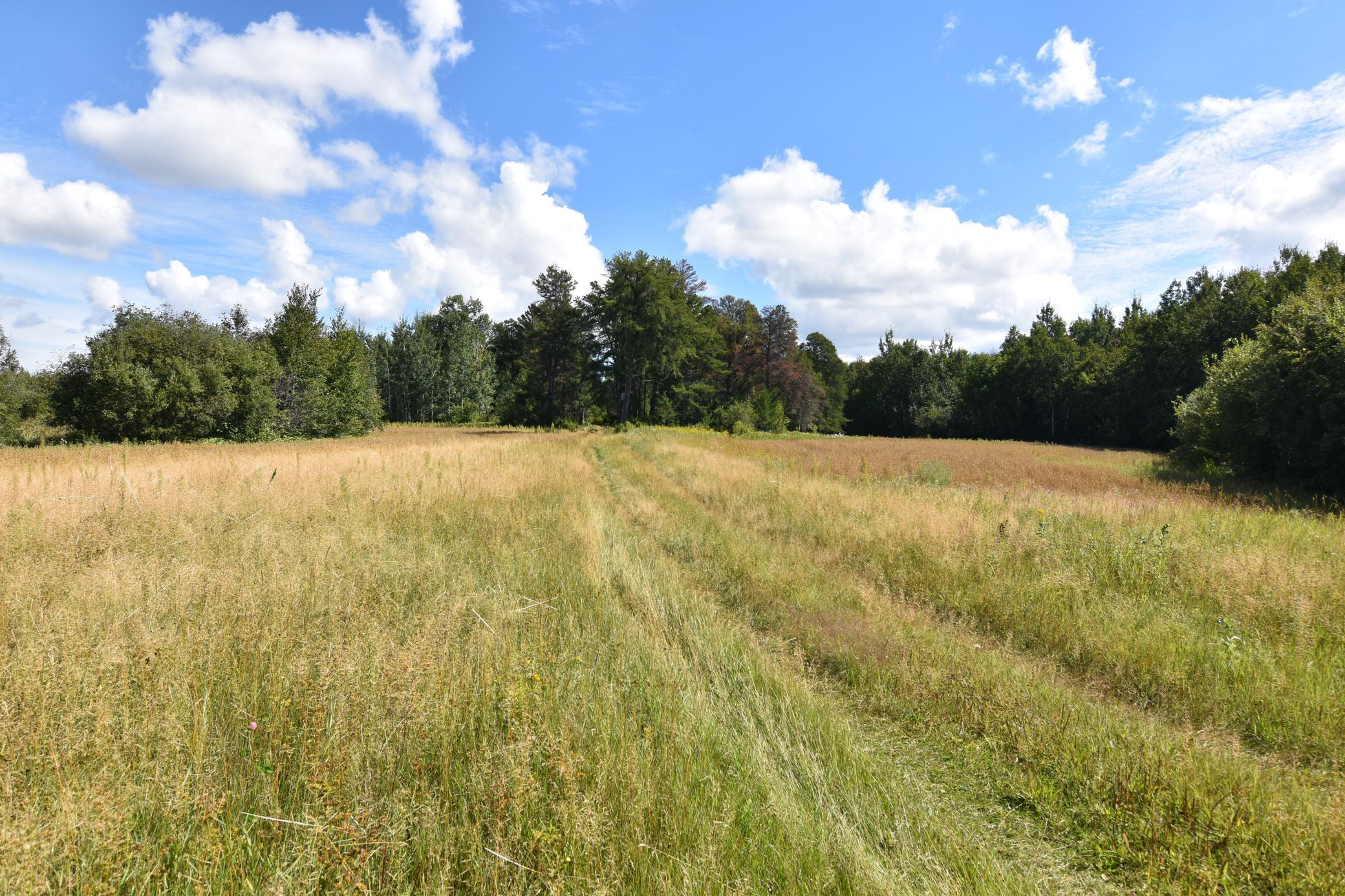 1975 single family home for sale at 1297 County Road 2 NW in Williams, MN — 2 bed, 2 bath (photo 33 of 48)