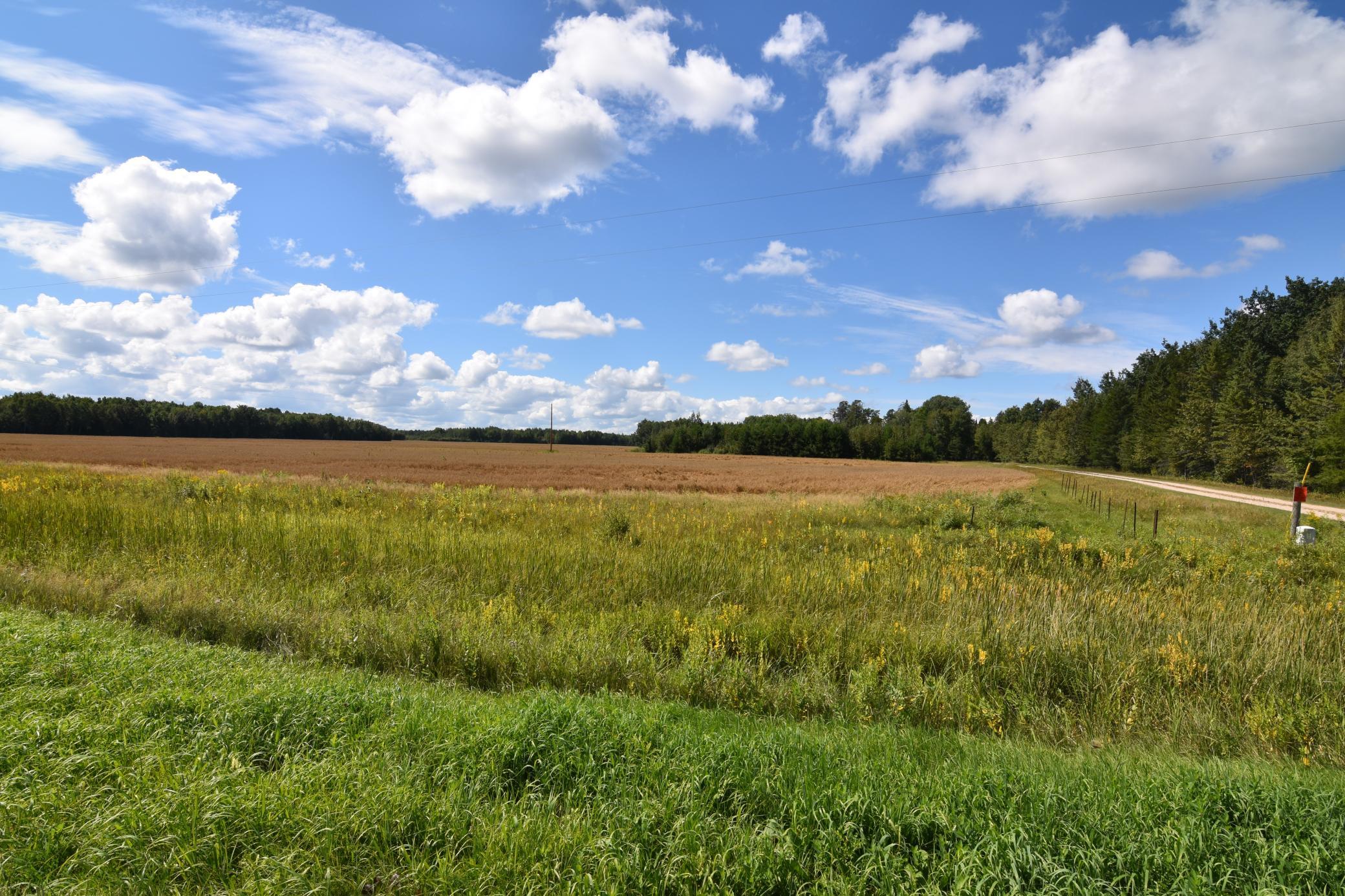 1975 single family home for sale at 1297 County Road 2 NW in Williams, MN — 2 bed, 2 bath (photo 34 of 48)
