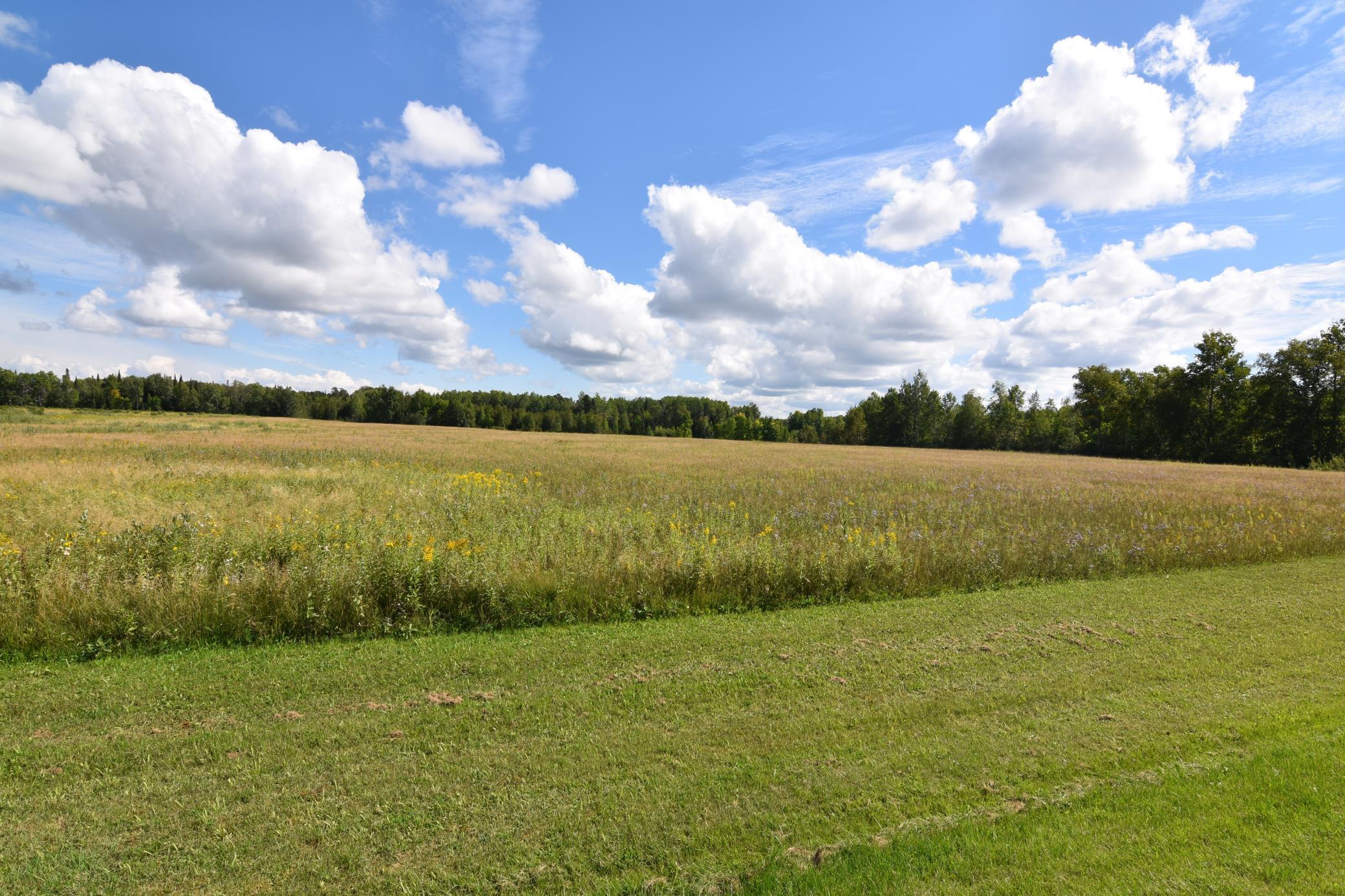 1975 single family home for sale at 1297 County Road 2 NW in Williams, MN — 2 bed, 2 bath (photo 35 of 48)