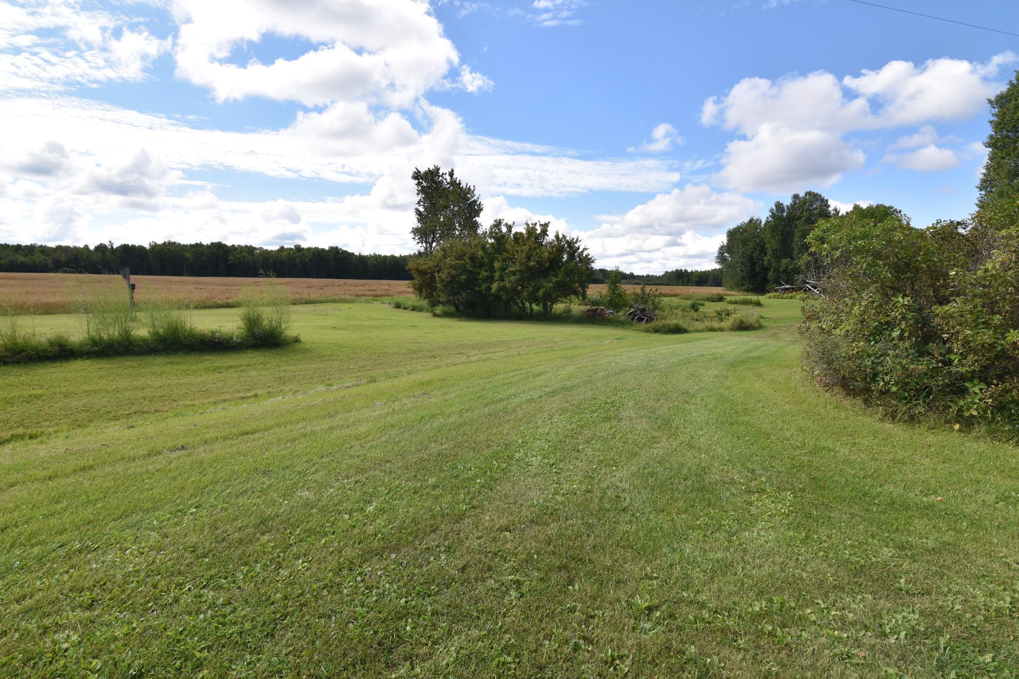 1975 single family home for sale at 1297 County Road 2 NW in Williams, MN — 2 bed, 2 bath (photo 9 of 48)