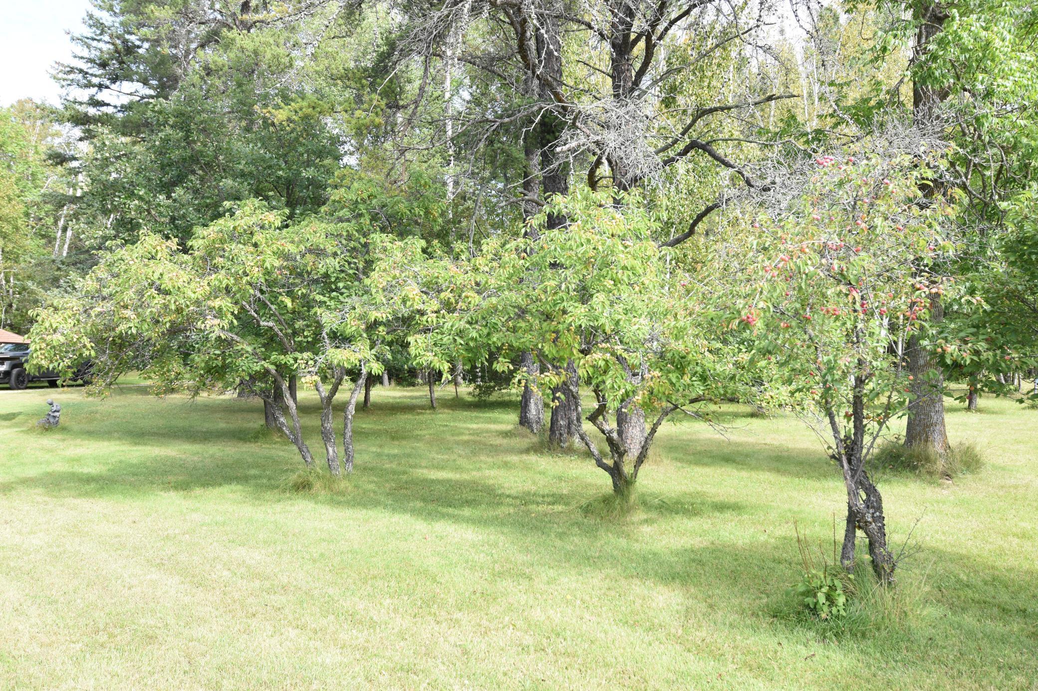 1975 single family home for sale at 1297 County Road 2 NW in Williams, MN — 2 bed, 2 bath (photo 10 of 48)