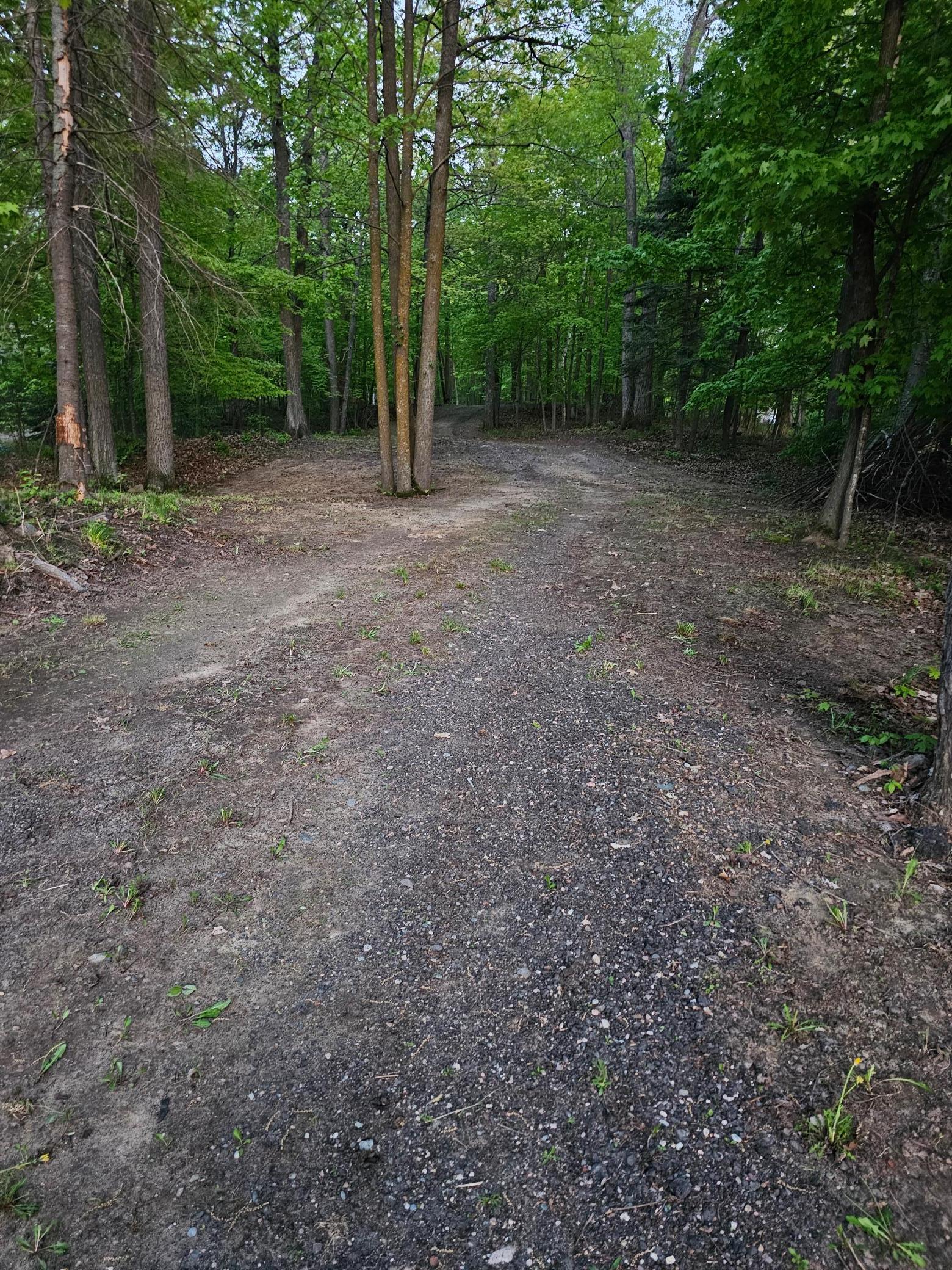 land for sale at TBD Girl Lake Trail NE in Longville, MN (photo 3 of 4)