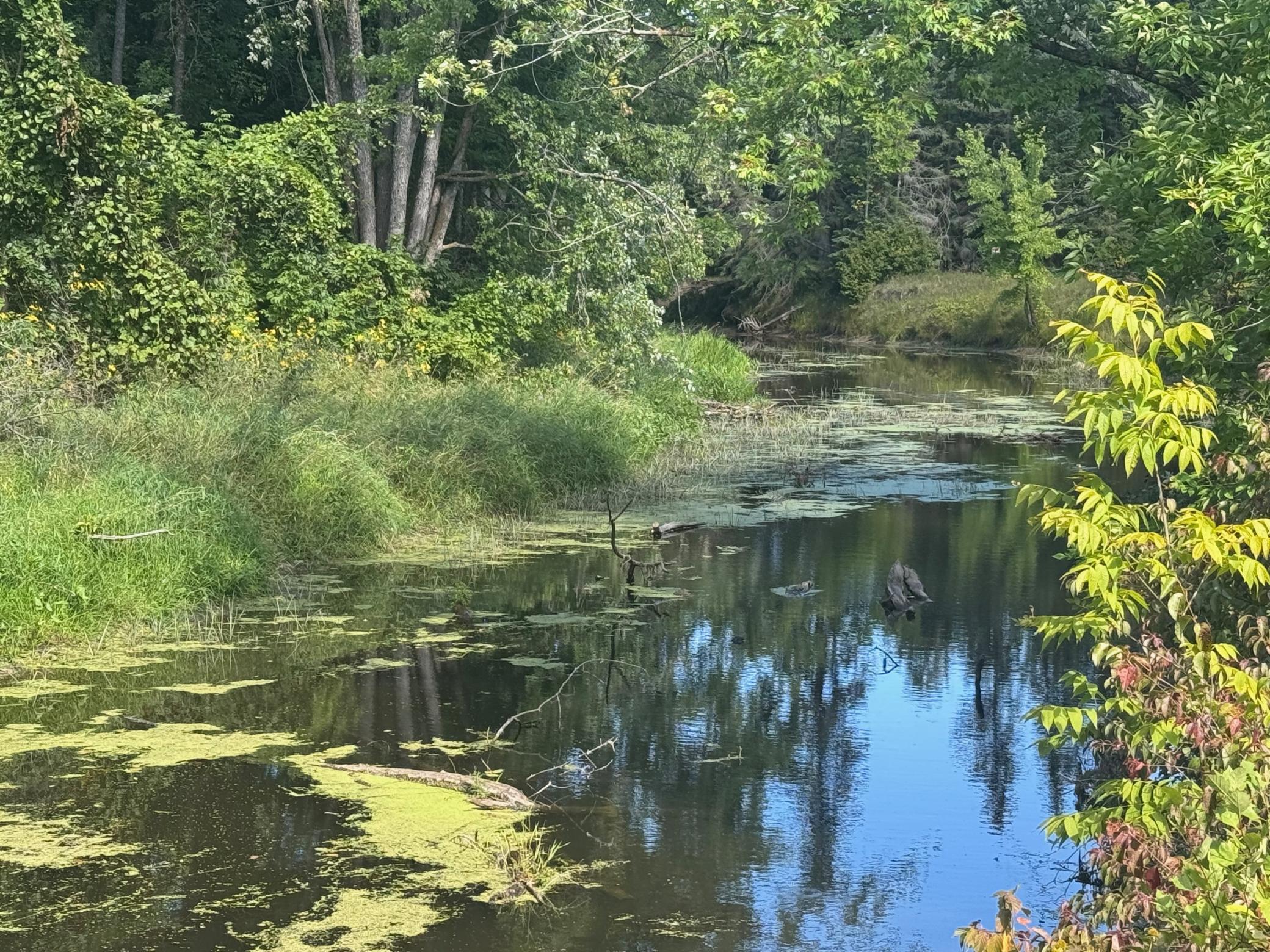 2025 single family home for sale at 10500 Quiring Road NE in Blackduck, MN — 1 bed, 0 bath (photo 17 of 37)