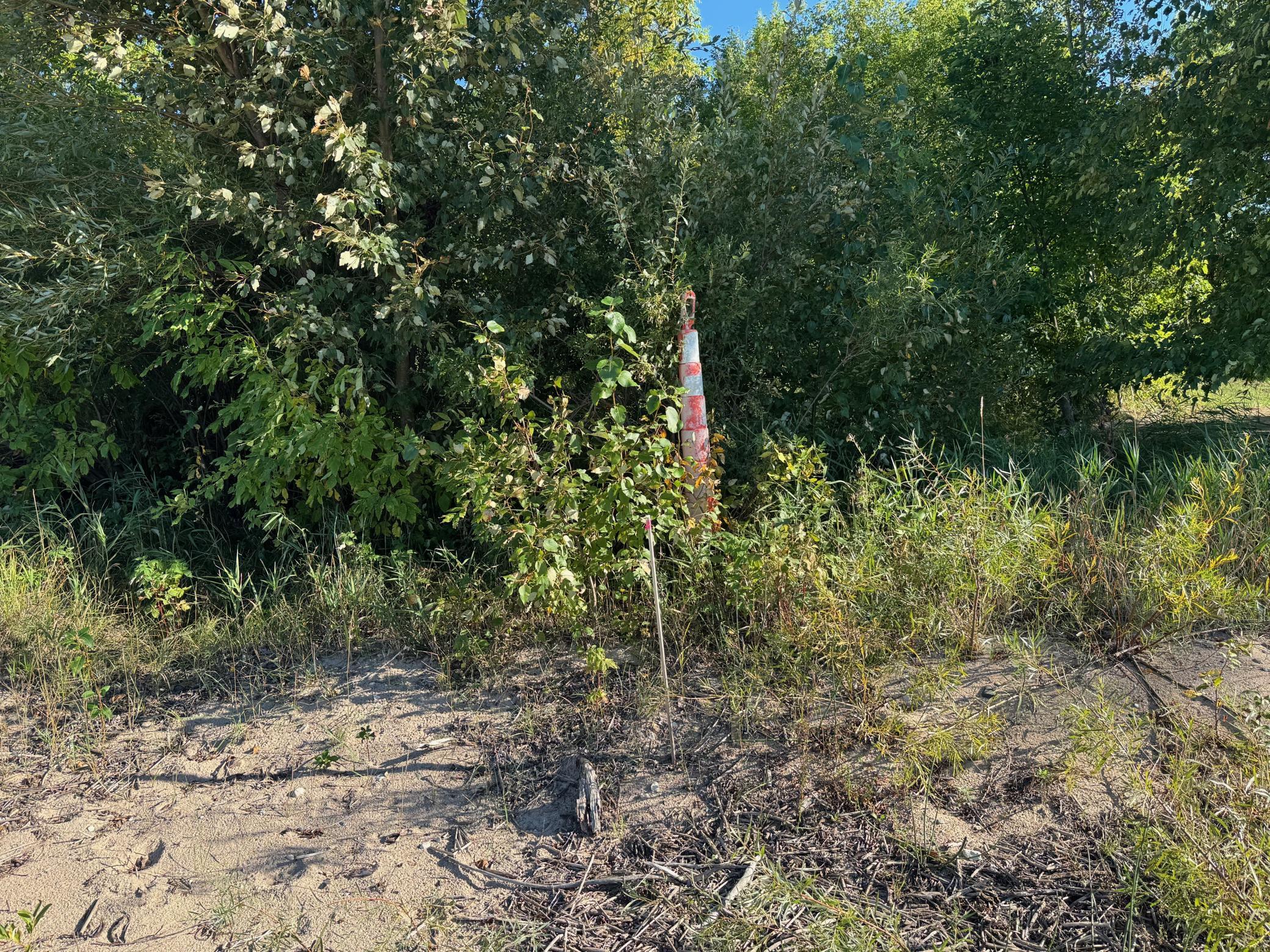 2005 single family home for sale at 17193 Fox Den Trail NE in Kelliher, MN — 2 bed, 1 bath (photo 18 of 62)
