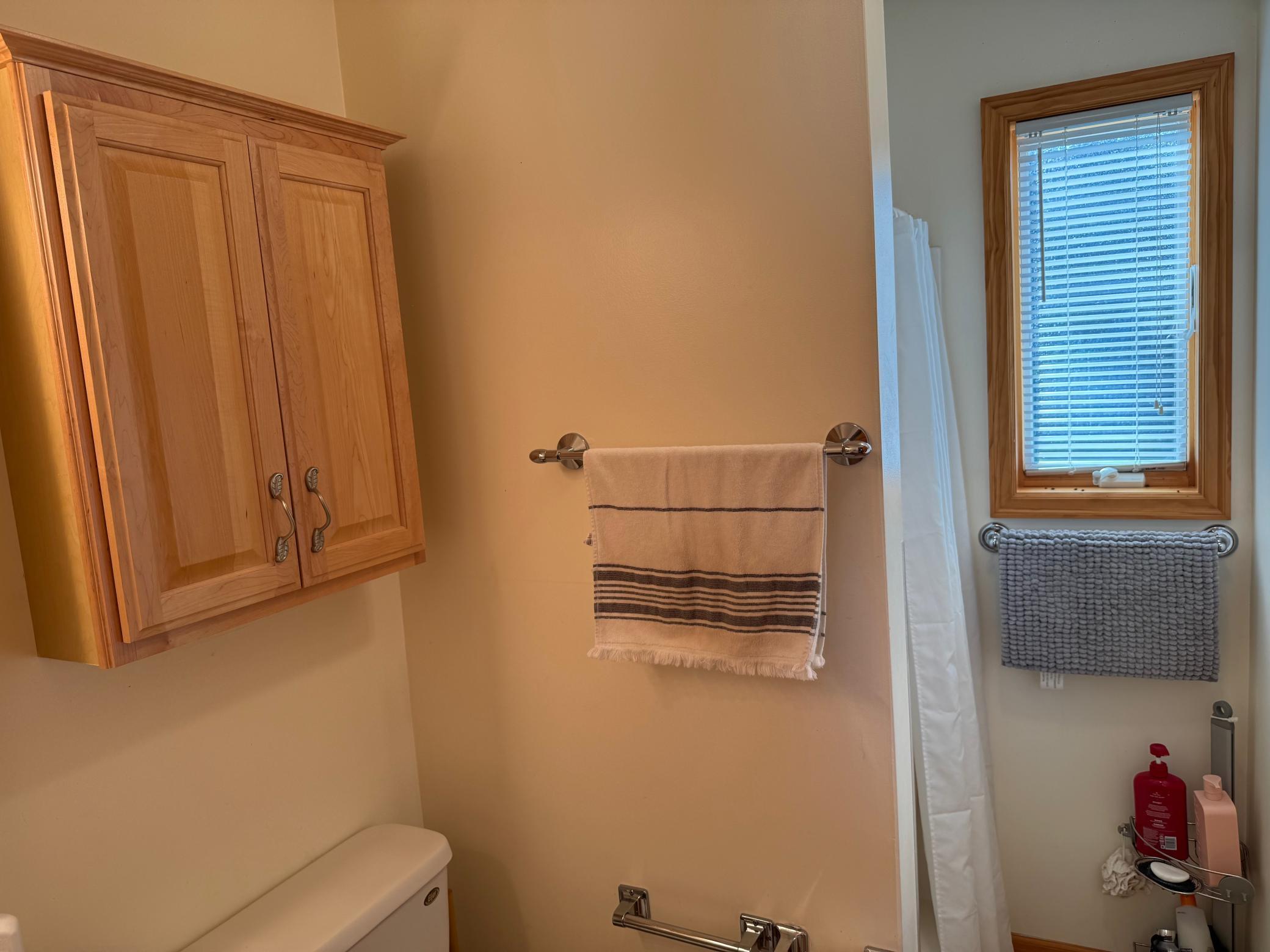 2005 single family home for sale at 17193 Fox Den Trail NE in Kelliher, MN — 2 bed, 1 bath (photo 36 of 62)