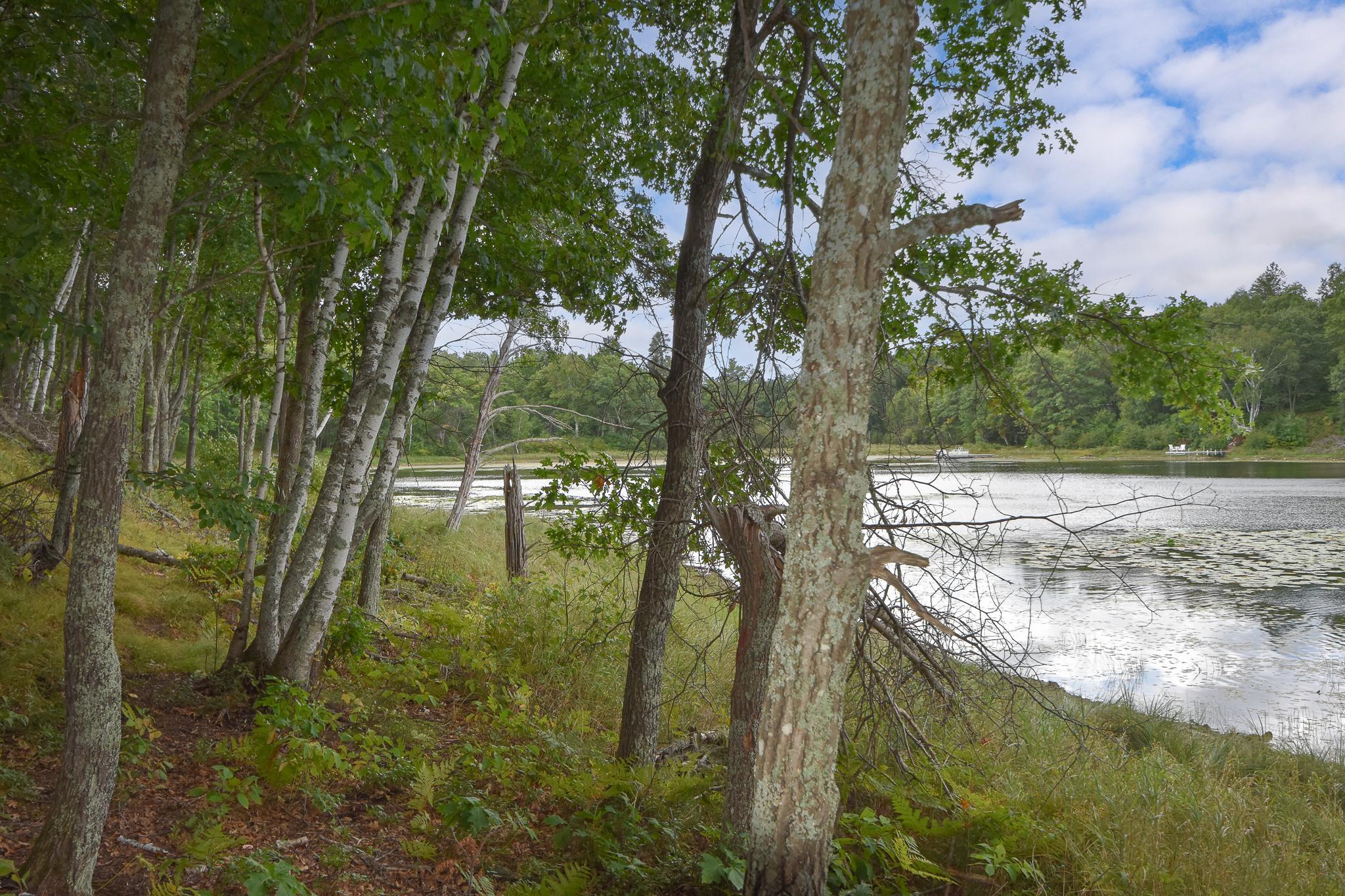 2015 single family home for sale at 42937 Minnie Lake Drive in Emily, MN — 2 bed, 2 bath (photo 38 of 64)