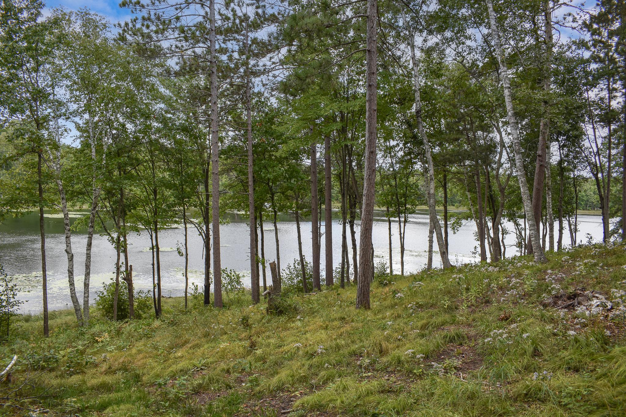 2015 single family home for sale at 42937 Minnie Lake Drive in Emily, MN — 2 bed, 2 bath (photo 40 of 64)