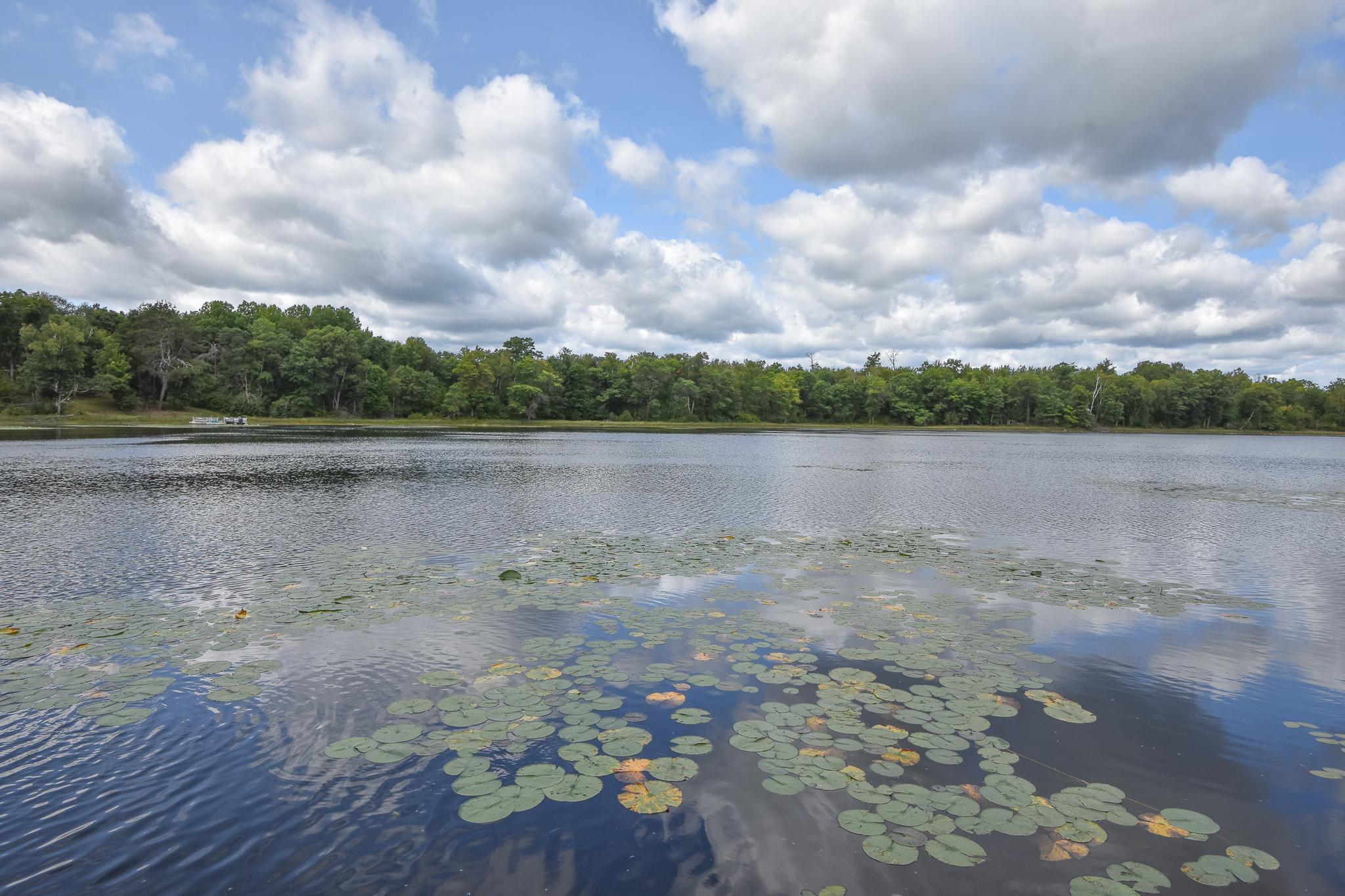 2015 single family home for sale at 42937 Minnie Lake Drive in Emily, MN — 2 bed, 2 bath (photo 43 of 64)