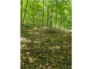 1950 single family home for sale at 1874 Cozy Lodge Drive NE in Longville, MN — 1 bed, 1 bath (photo 34 of 37)