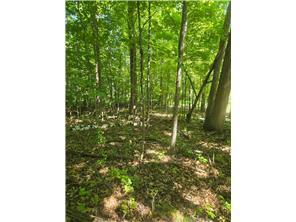1950 single family home for sale at 1874 Cozy Lodge Drive NE in Longville, MN — 1 bed, 1 bath (photo 36 of 37)