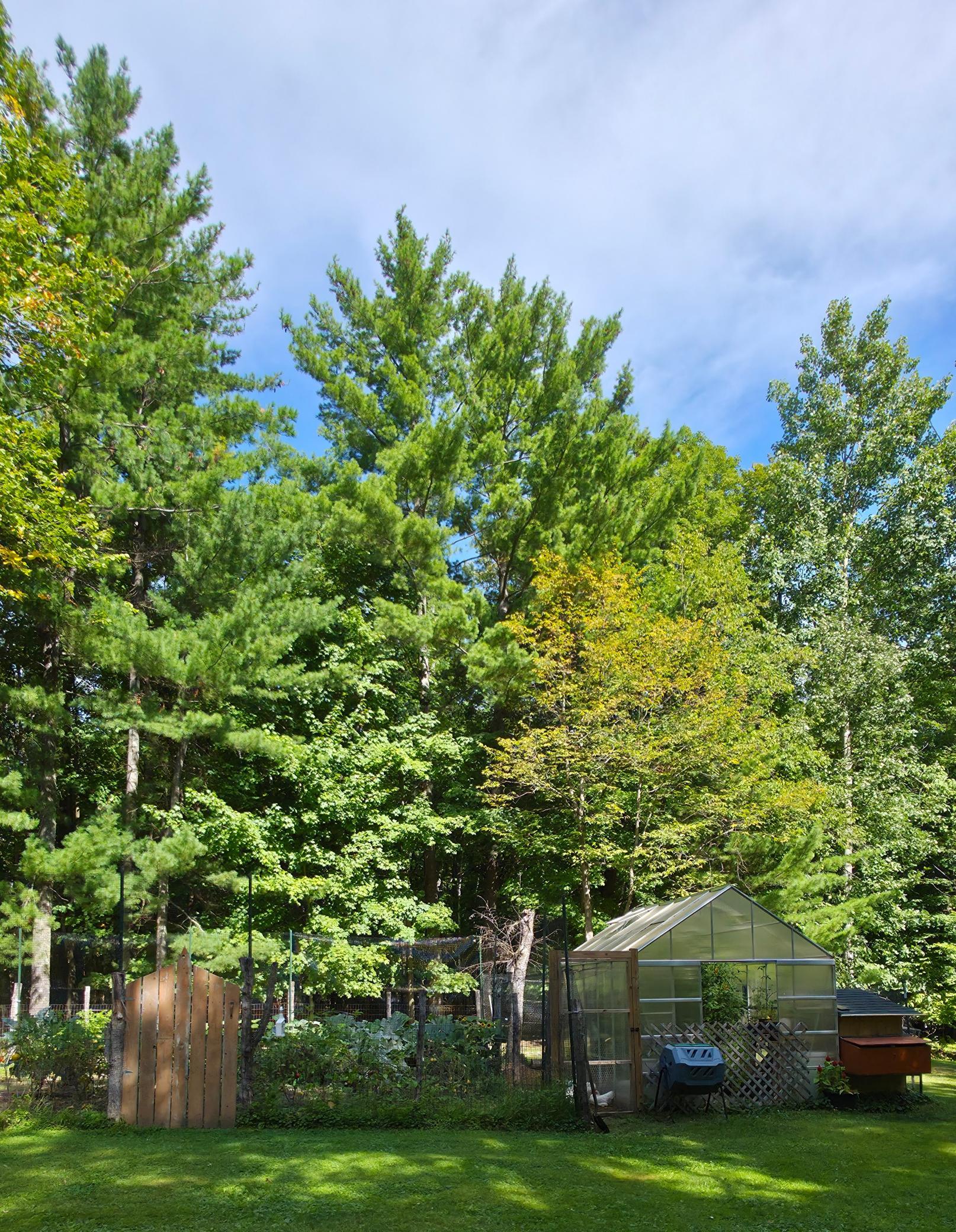 1970 single family home for sale at 1406 Balsam Lane in Nisswa, MN — 1 bed, 1 bath (photo 4 of 4)
