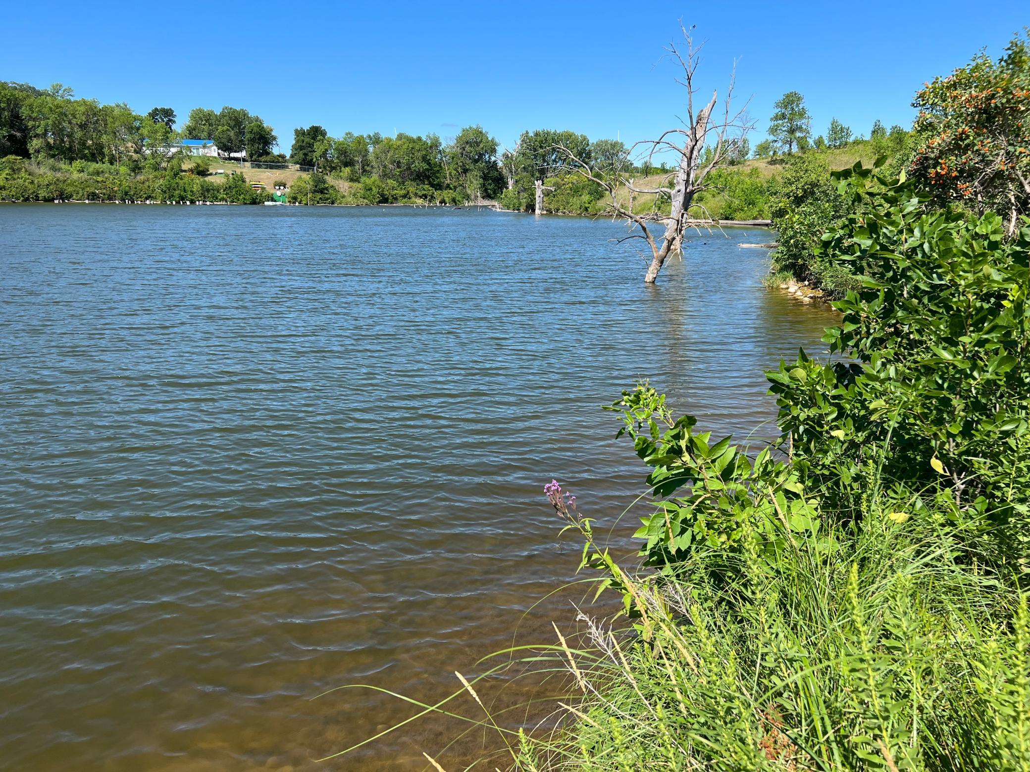 land for sale at 26147 154 Avenue S in Barnesville, MN (photo 9 of 10)