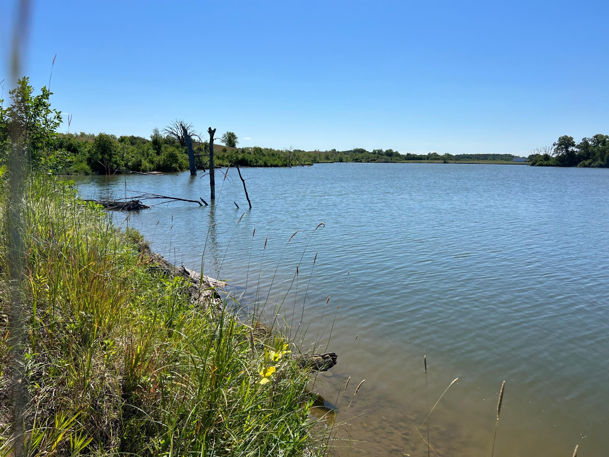 land for sale at 26147 154 Avenue S in Barnesville, MN (photo 10 of 10)