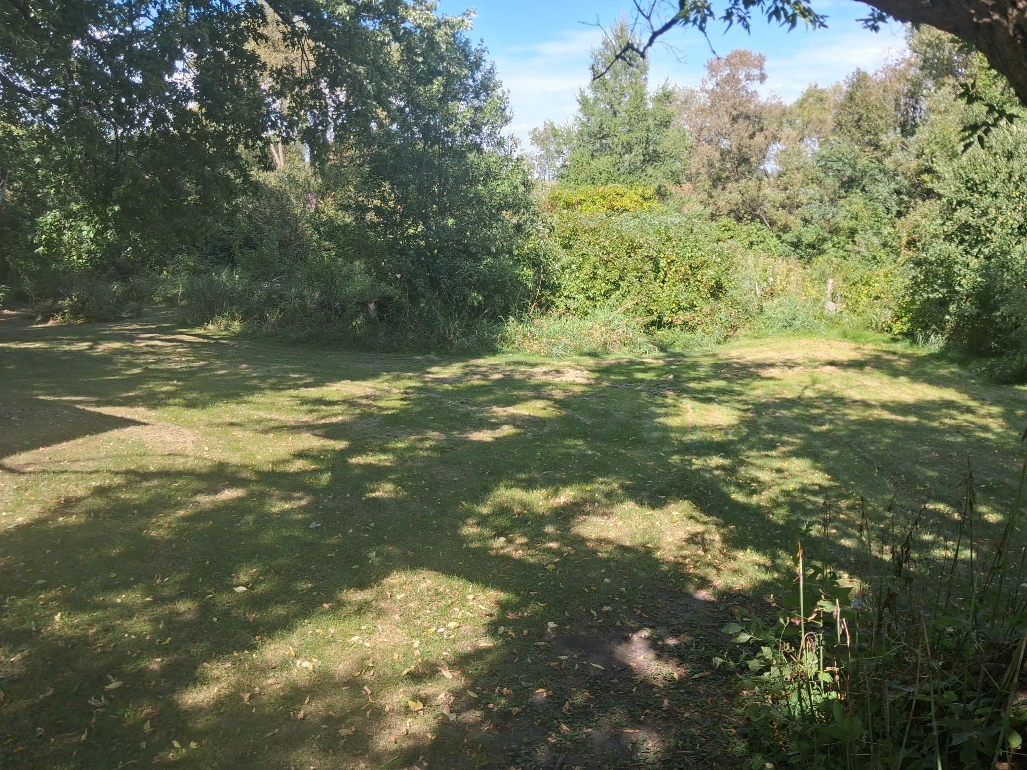 1882 single family home for sale at 410 W Pleasant Avenue in Elizabeth, MN — 2 bed, 1 bath (photo 5 of 24)
