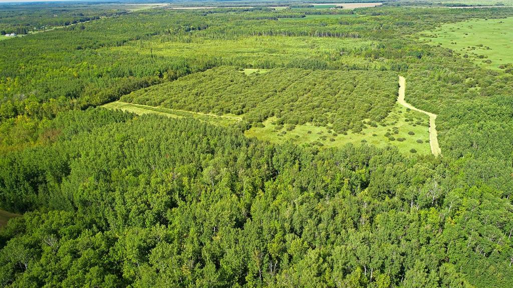 1974 single family home for sale at 39090 State Highway 313 in Warroad, MN — 3 bed, 2 bath (photo 43 of 62)