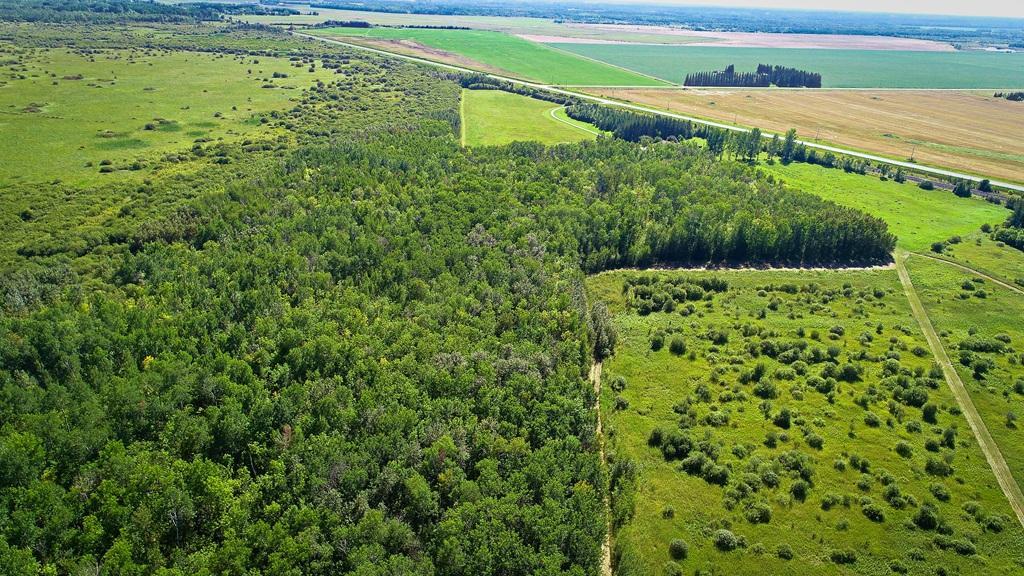 1974 single family home for sale at 39090 State Highway 313 in Warroad, MN — 3 bed, 2 bath (photo 50 of 62)