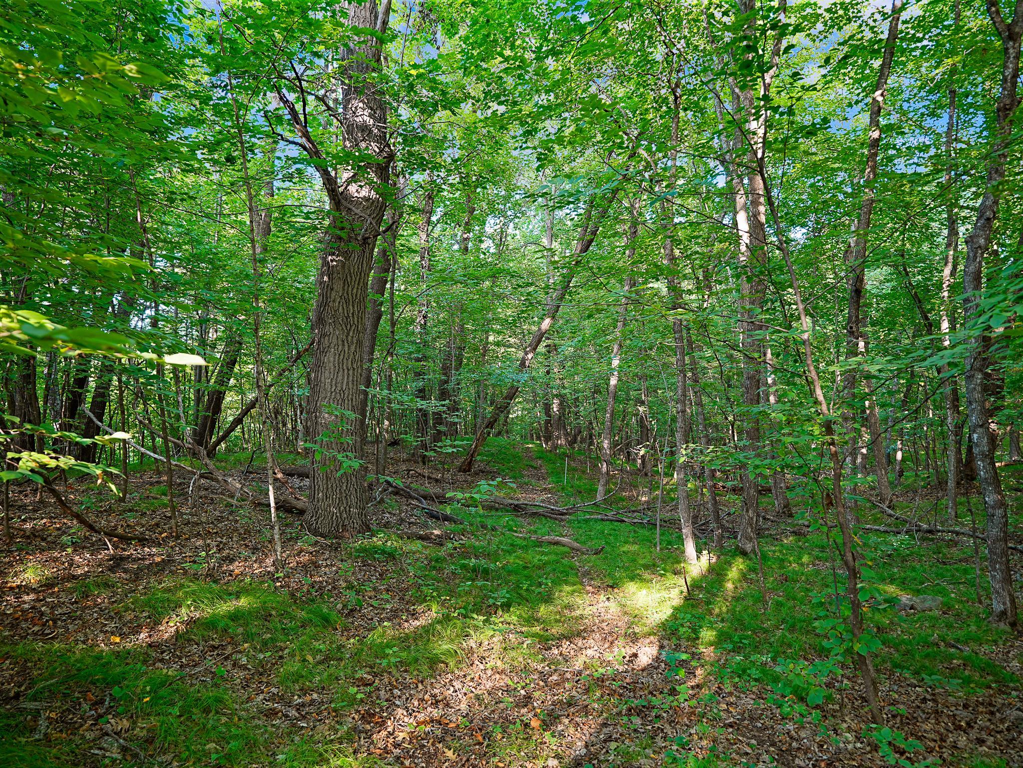 1983 single family home for sale at 38834 Railroad Dr in Richville, MN — 3 bed, 2 bath (photo 60 of 65)