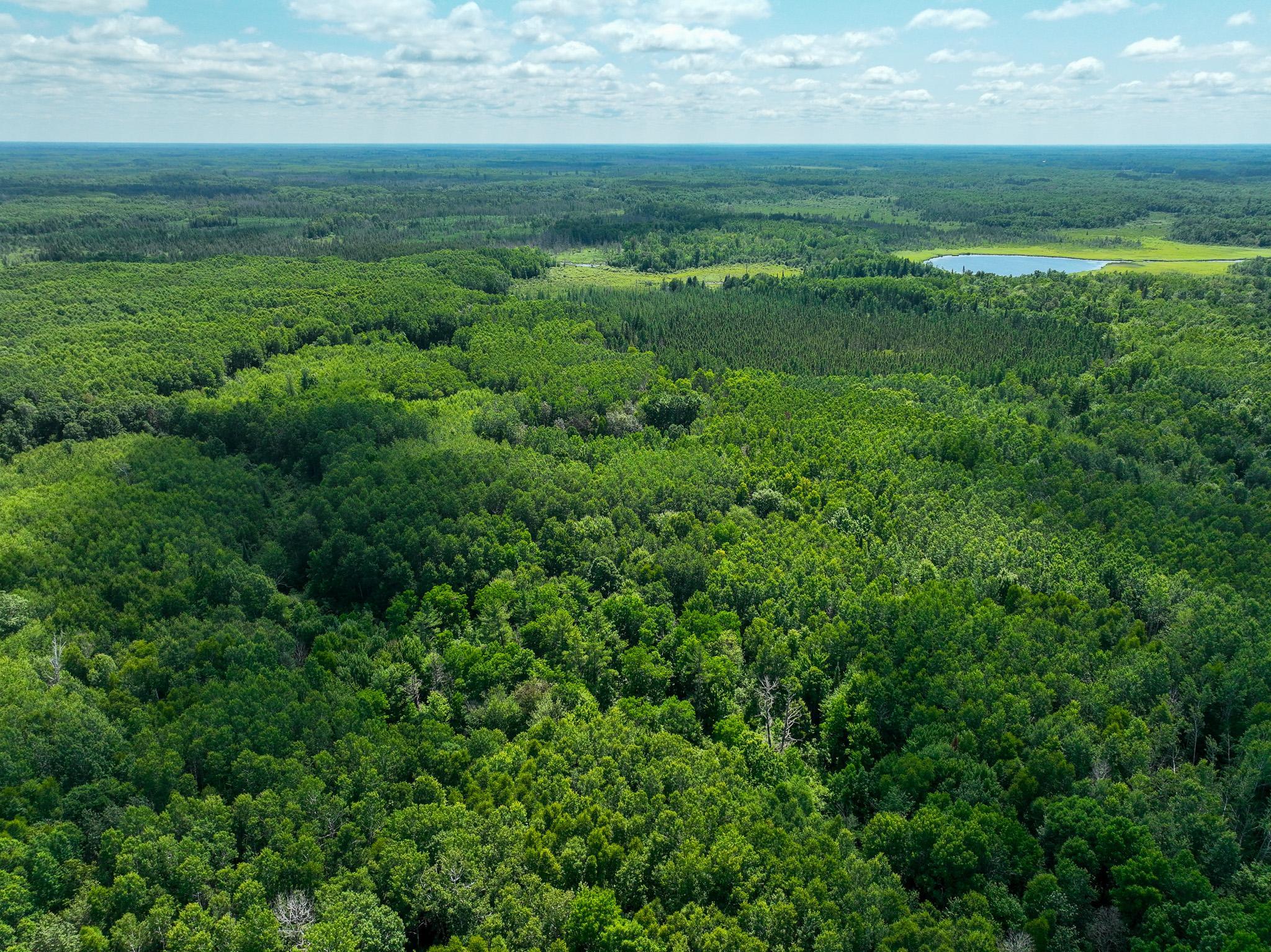 land for sale at TBD Sago 5 in Swan River, MN