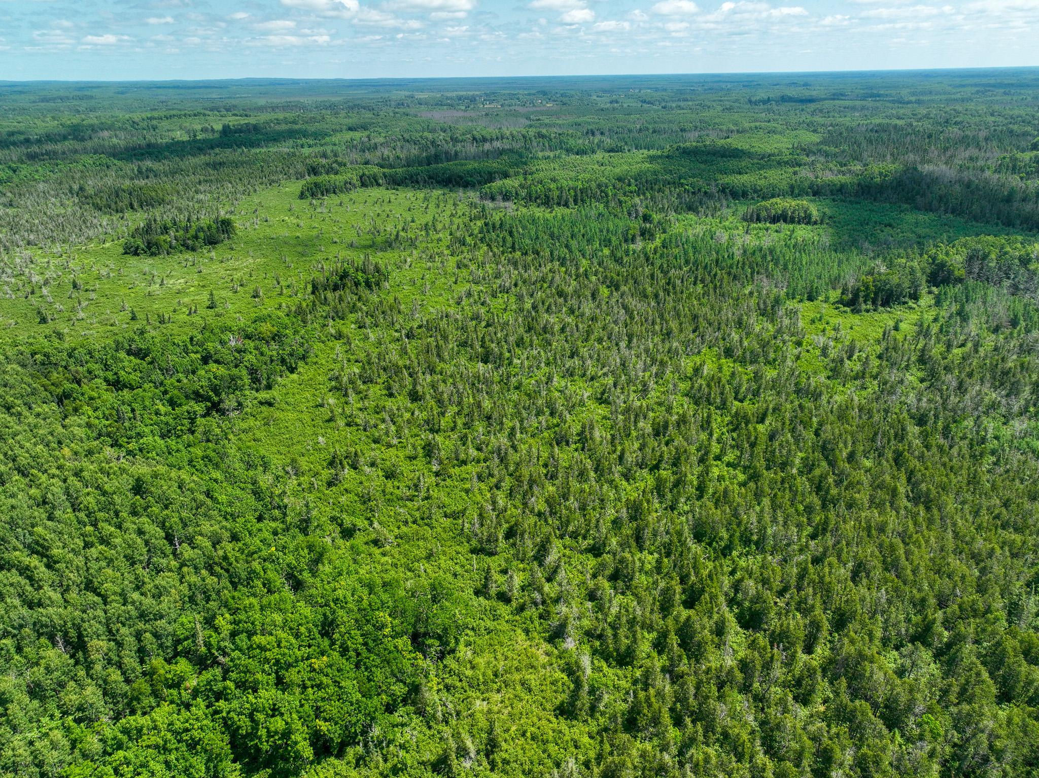 land for sale at TBD Sago 5 in Swan River, MN (photo 11 of 22)