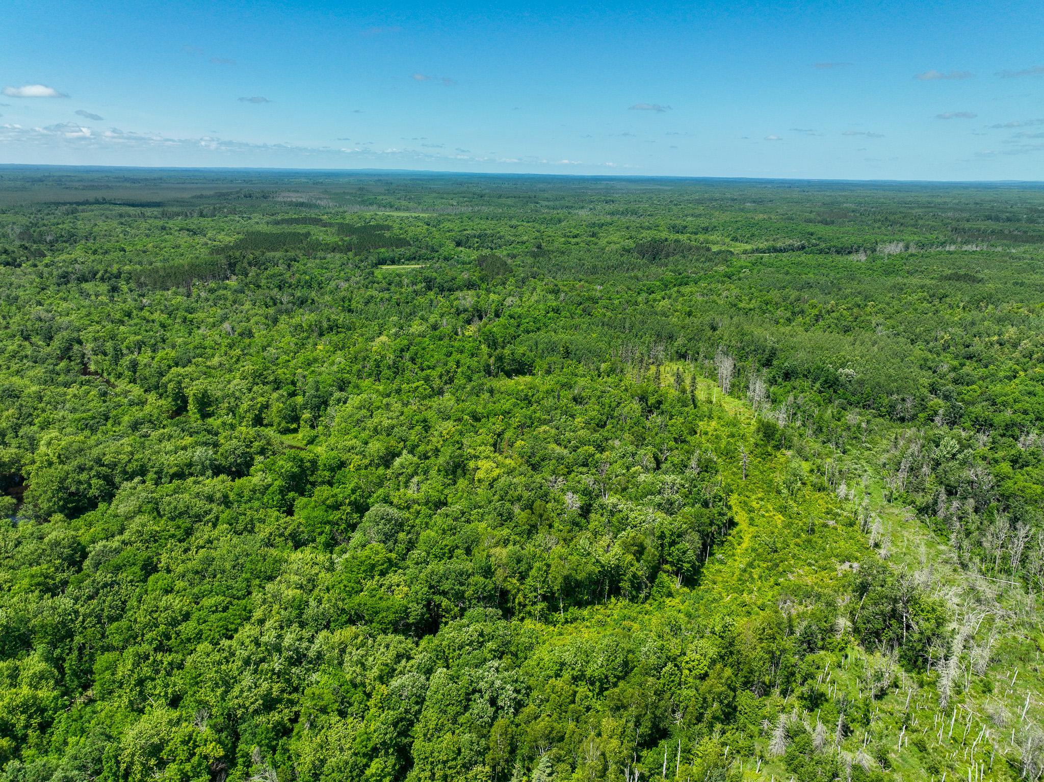 land for sale at TBD Sago 5 in Swan River, MN (photo 12 of 22)