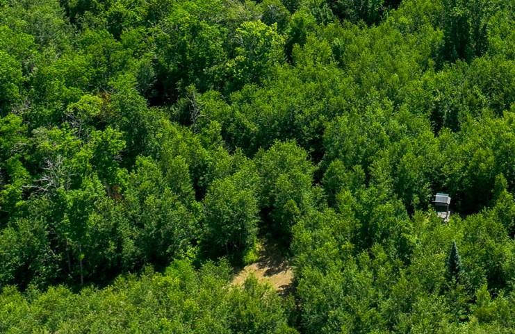land for sale at TBD Sago 5 in Swan River, MN (photo 15 of 22)