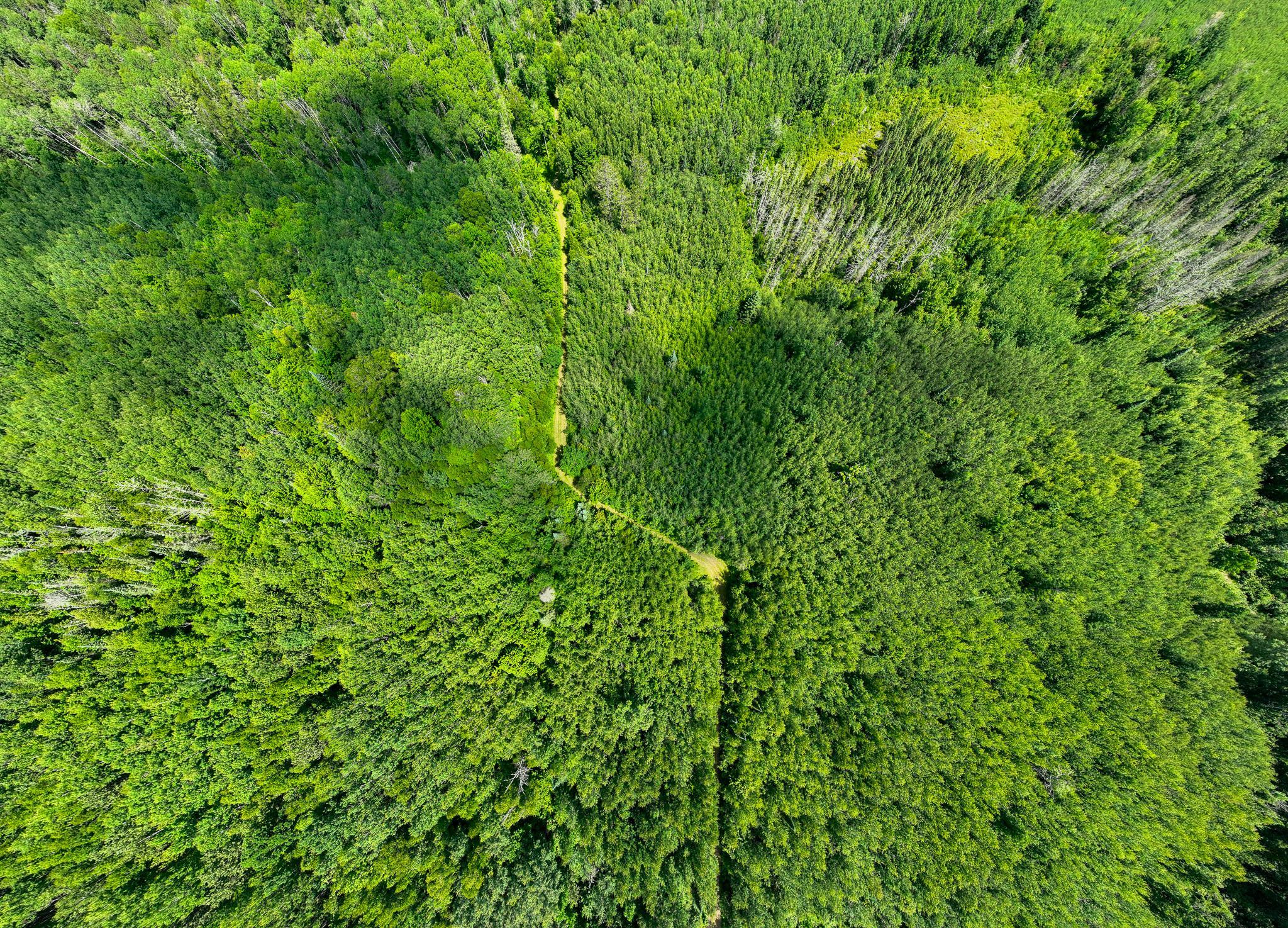 land for sale at TBD Sago 5 in Swan River, MN (photo 16 of 22)