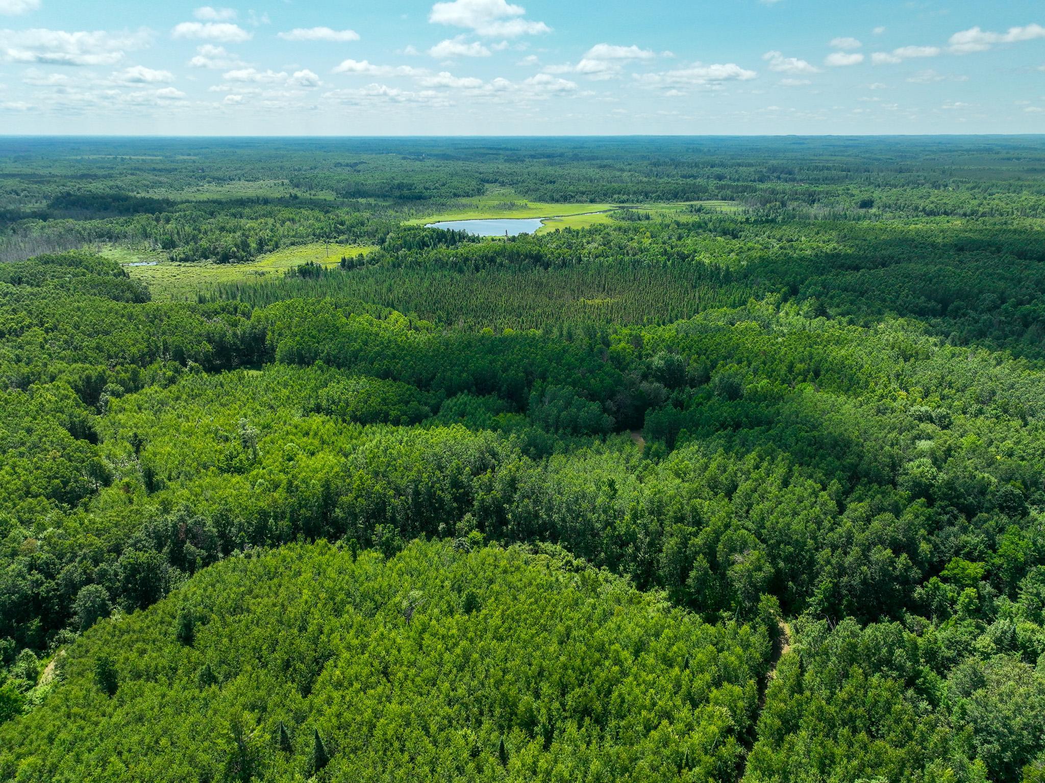 land for sale at TBD Sago 5 in Swan River, MN (photo 17 of 22)