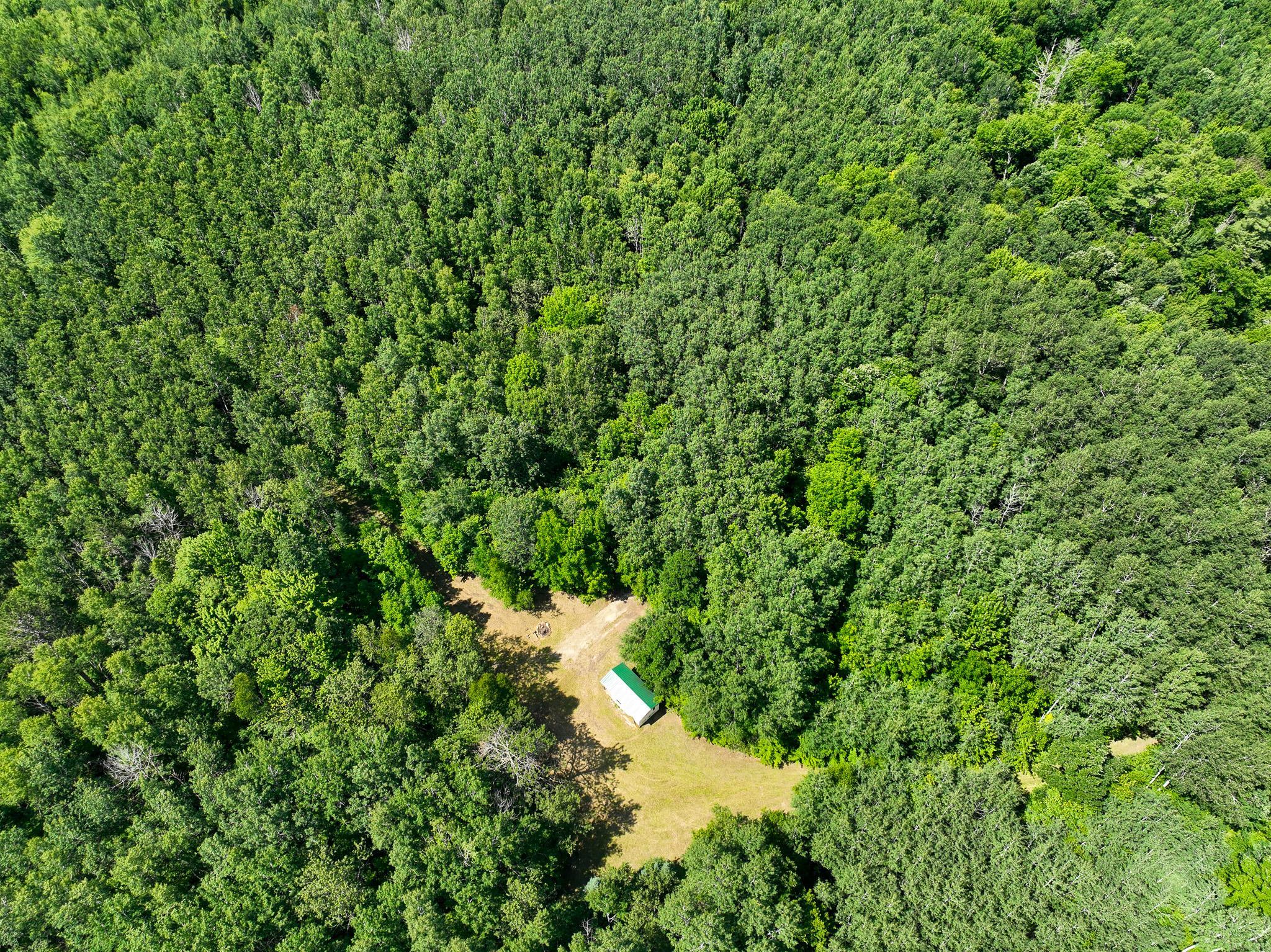 land for sale at TBD Sago 5 in Swan River, MN (photo 18 of 22)