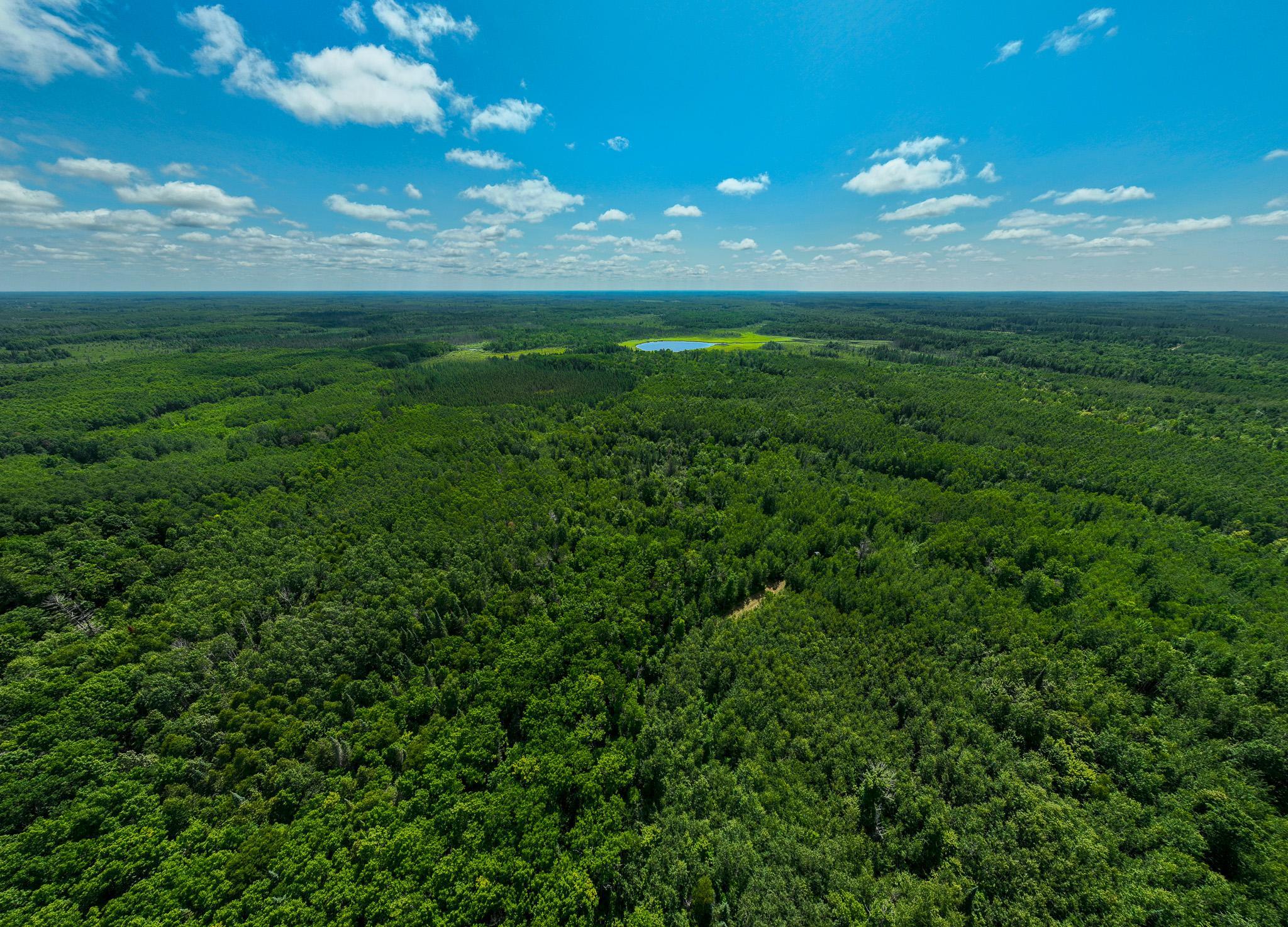 land for sale at TBD Sago 5 in Swan River, MN (photo 19 of 22)