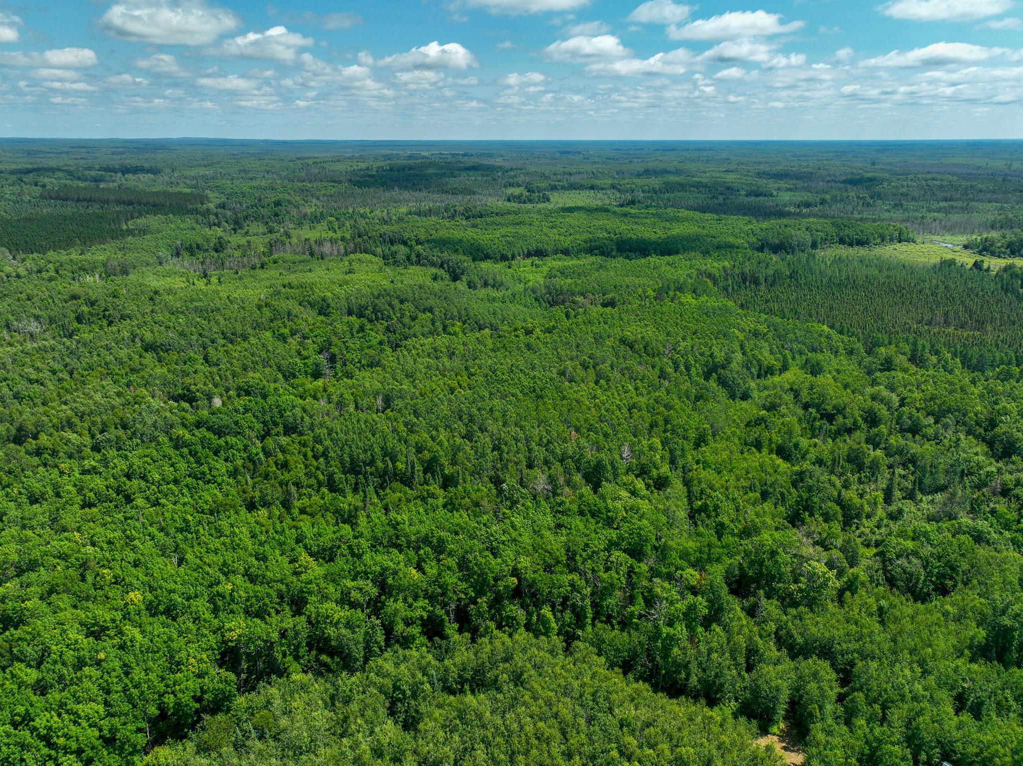 land for sale at TBD Sago 5 in Swan River, MN (photo 20 of 22)