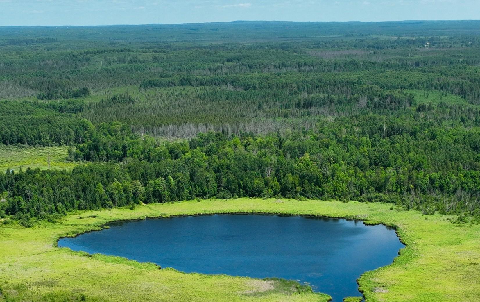 land for sale at TBD Sago 5 in Swan River, MN (photo 7 of 22)