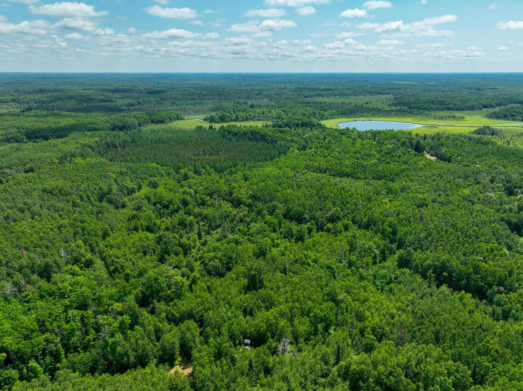 land for sale at TBD Sago 5 in Swan River, MN (photo 9 of 22)